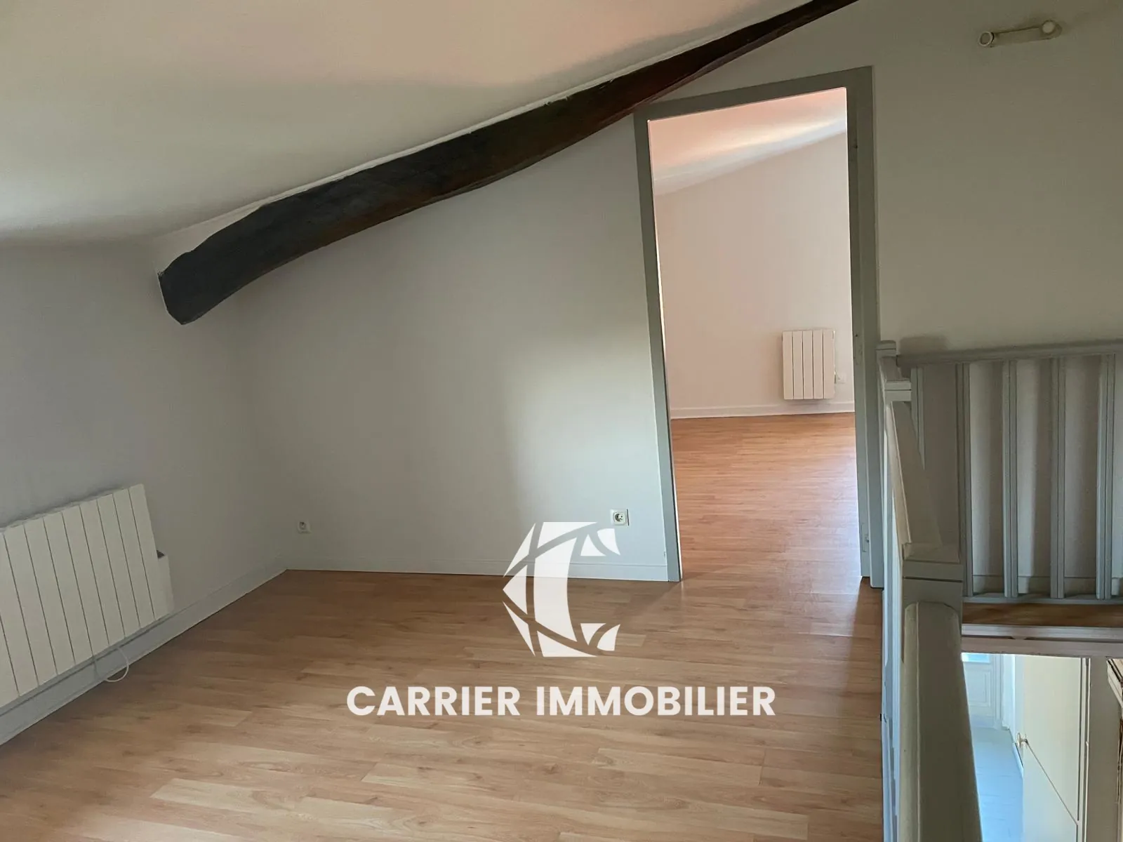 Duplex T3 à Craponne - Investissement locatif sécurisé et spacieux 