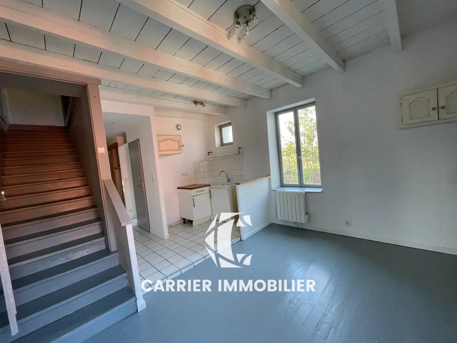 Duplex T3 à Craponne - Investissement locatif sécurisé et spacieux 