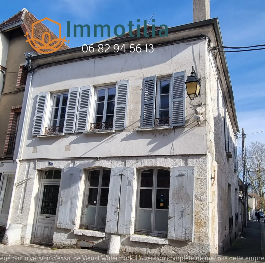 Maison à rénover à Bray-sur-Seine avec potentiel double logement - Investissement idéal 