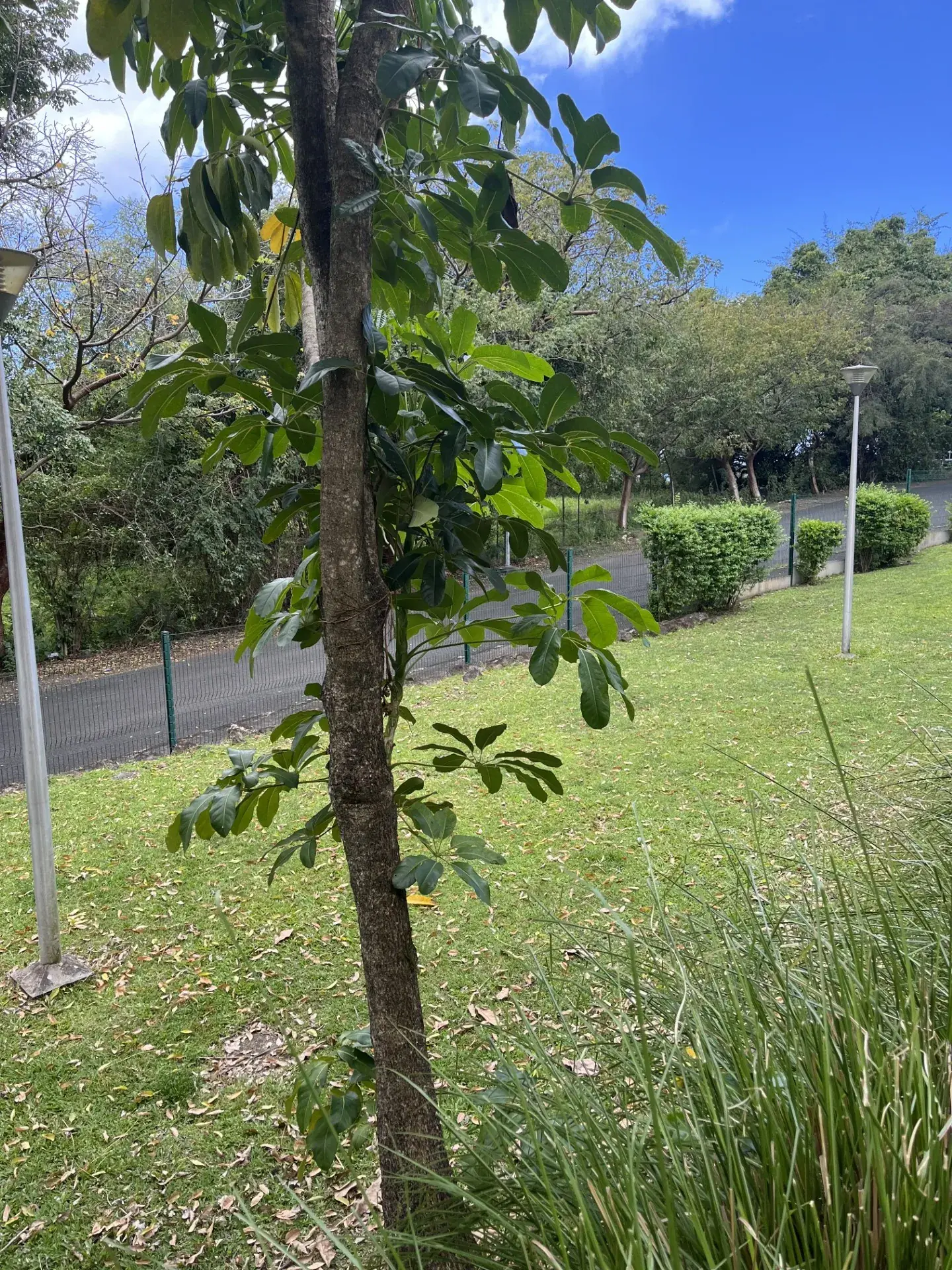 Appartement T2 avec terrasse à Saint-Claude - À rénover, 126 000 € 