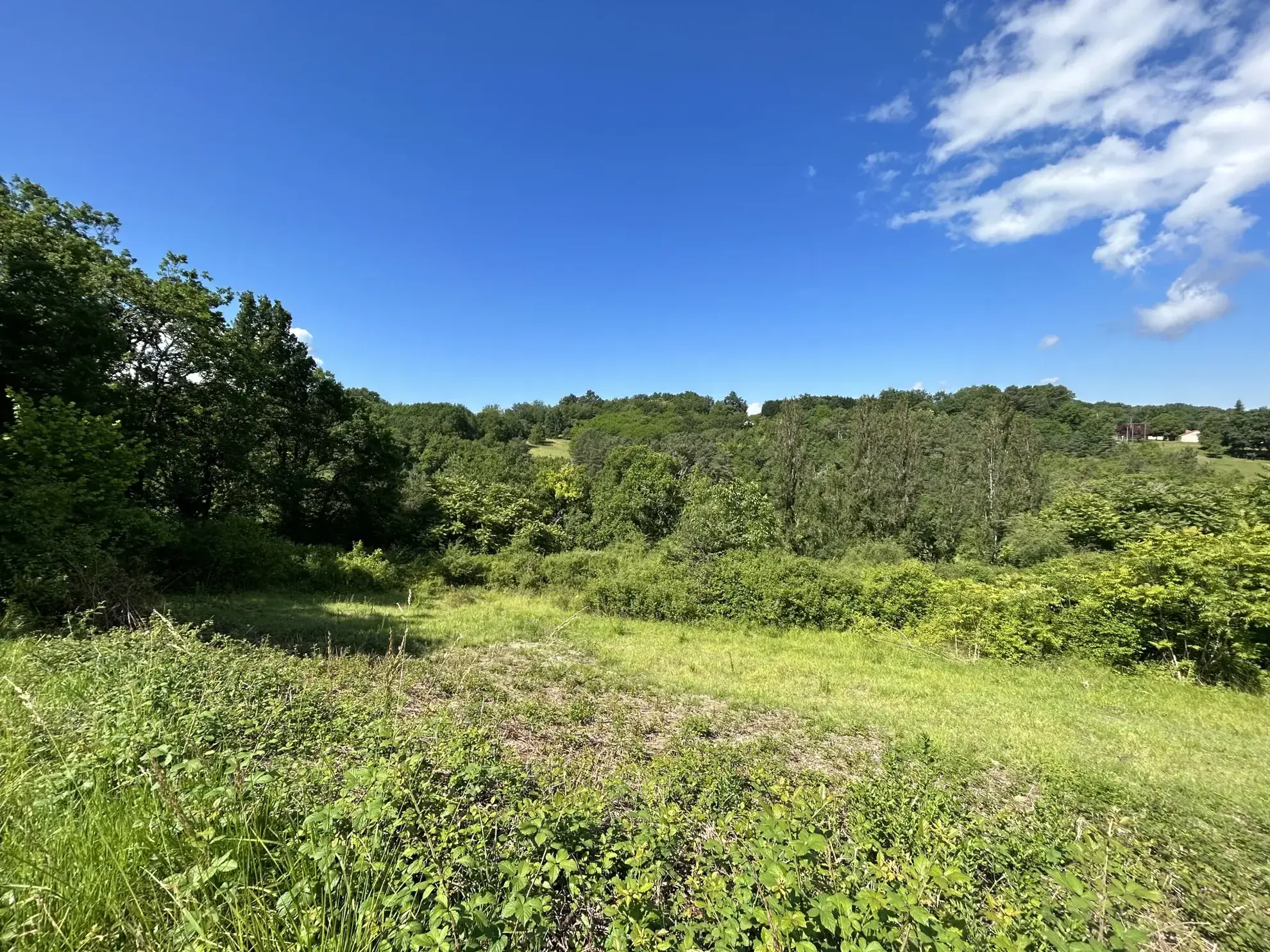 Terrain constructible à Coursac - 824 m², viabilisé et situé dans un environnement calme 