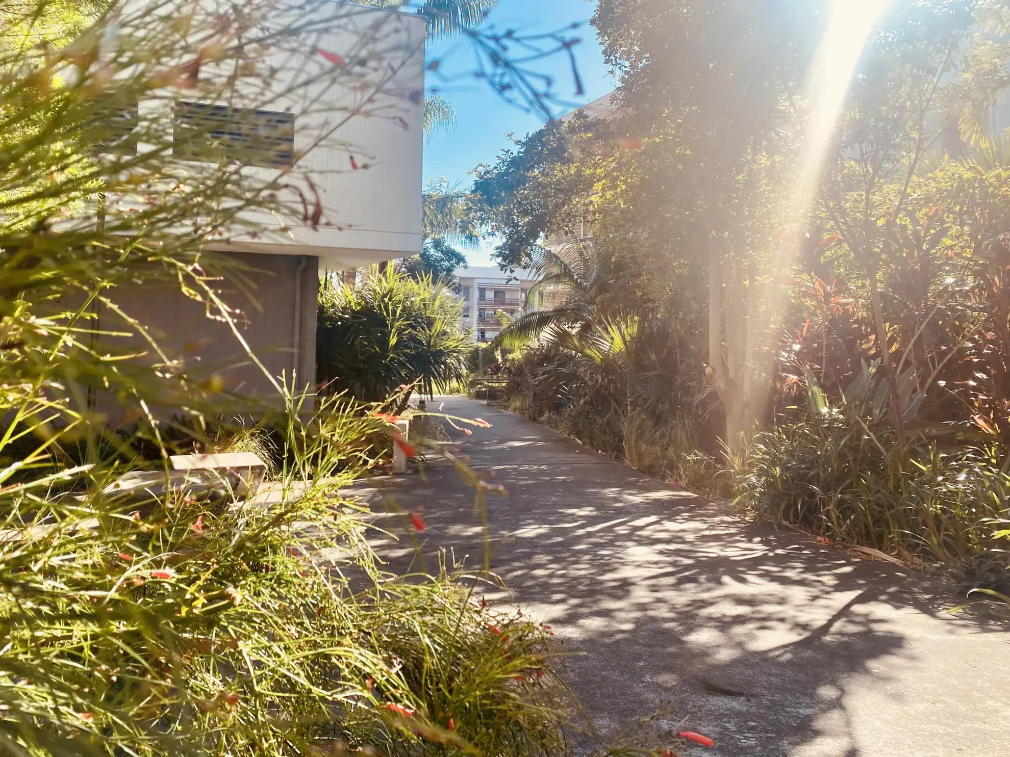 Parcelle constructible sécurisée de 367 m² à Sainte-Marie – Jardin du Golf 