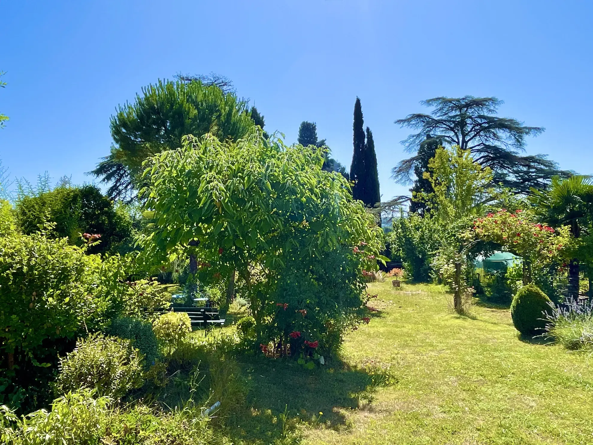 Maison ancienne avec jardin à Vic-Fezensac, charme Gascon, 4 chambres, garage et terrain arboré 