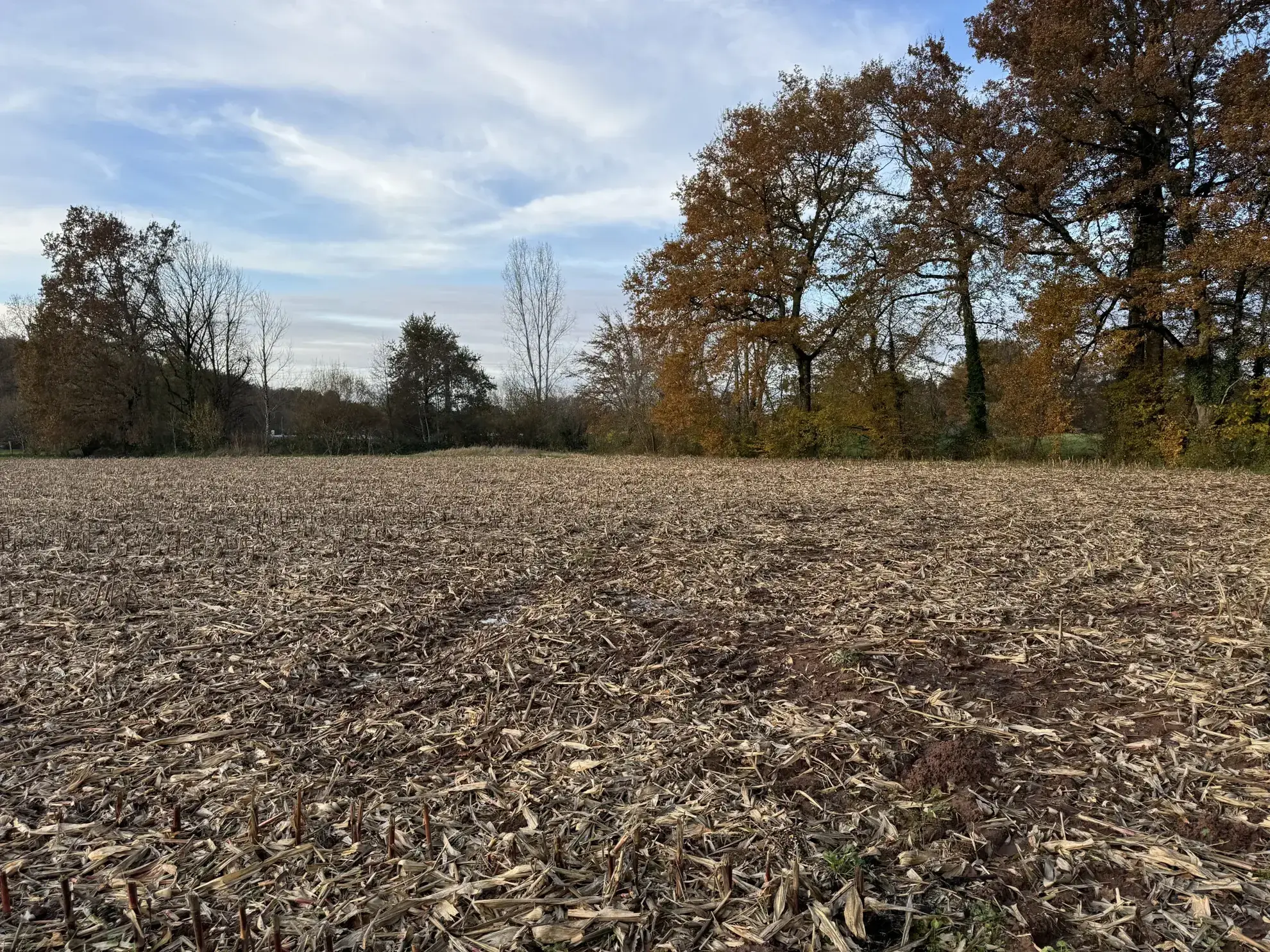 Terrain à bâtir plat de 3 035 m² à Varetz - Idéal pour construction
