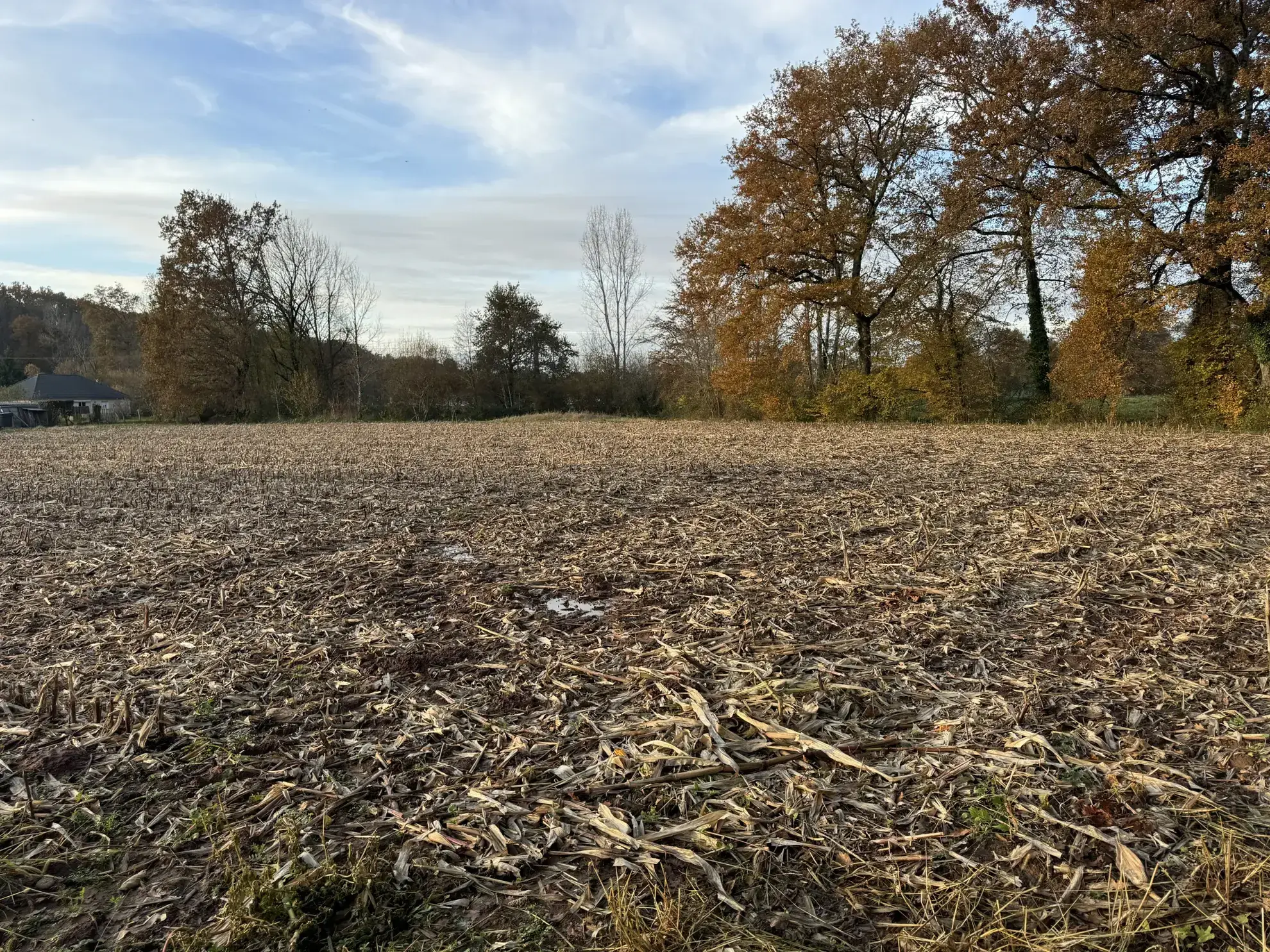 Terrain à bâtir plat de 3 035 m² à Varetz - Idéal pour construction 