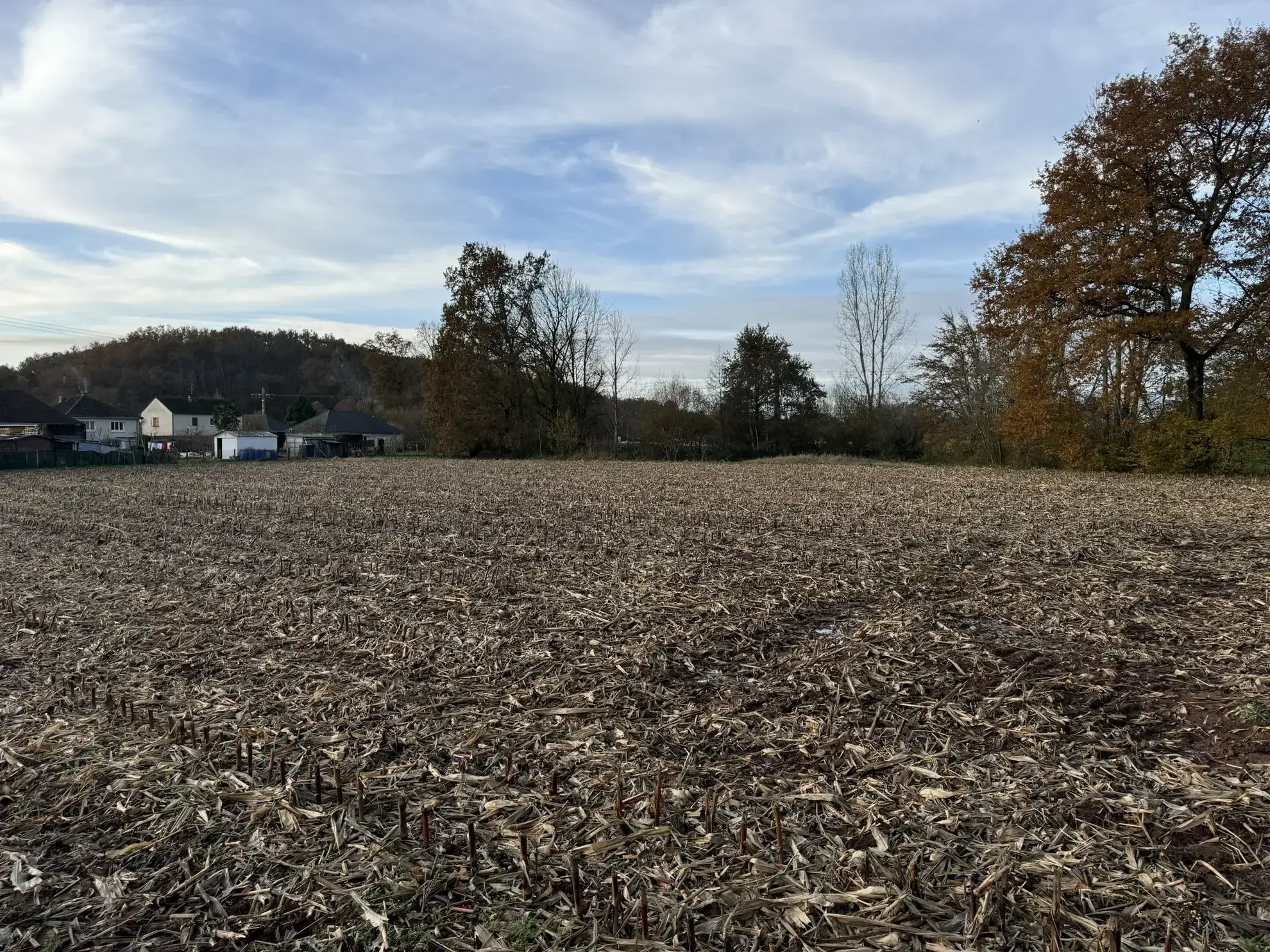 Terrain à bâtir plat de 3 035 m² à Varetz - Idéal pour construction 