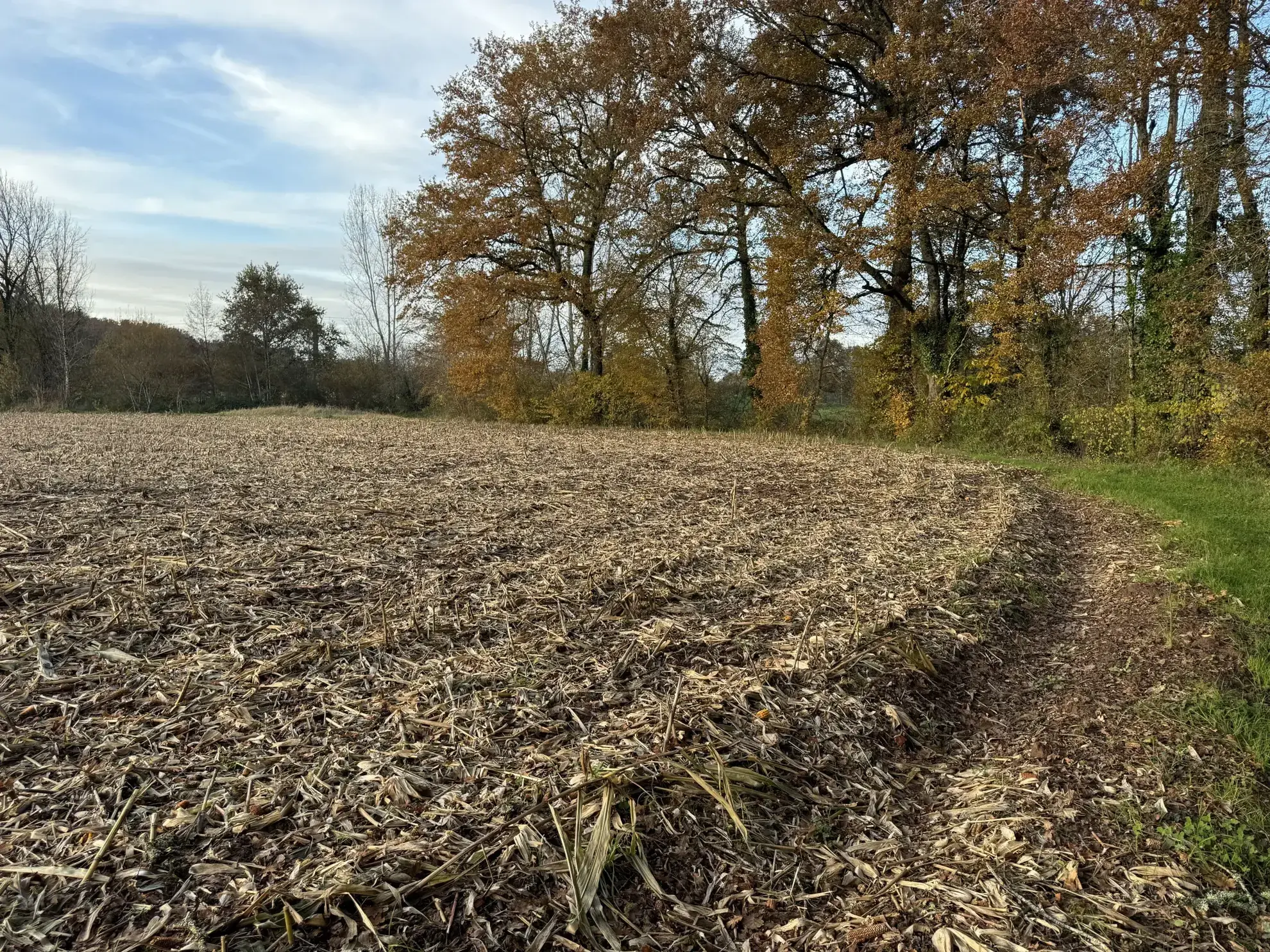 Terrain à bâtir plat de 3 035 m² à Varetz - Idéal pour construction 