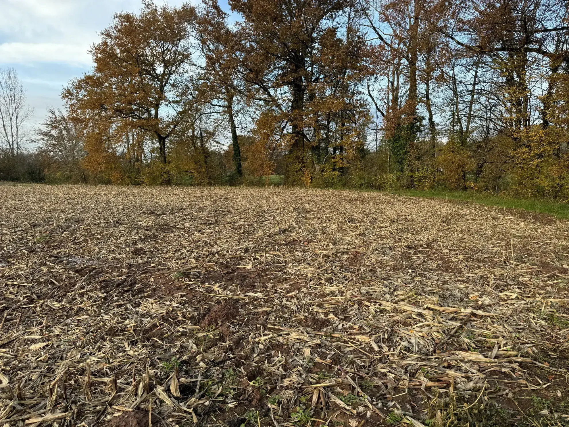 Terrain à bâtir plat de 3 035 m² à Varetz - Idéal pour construction 