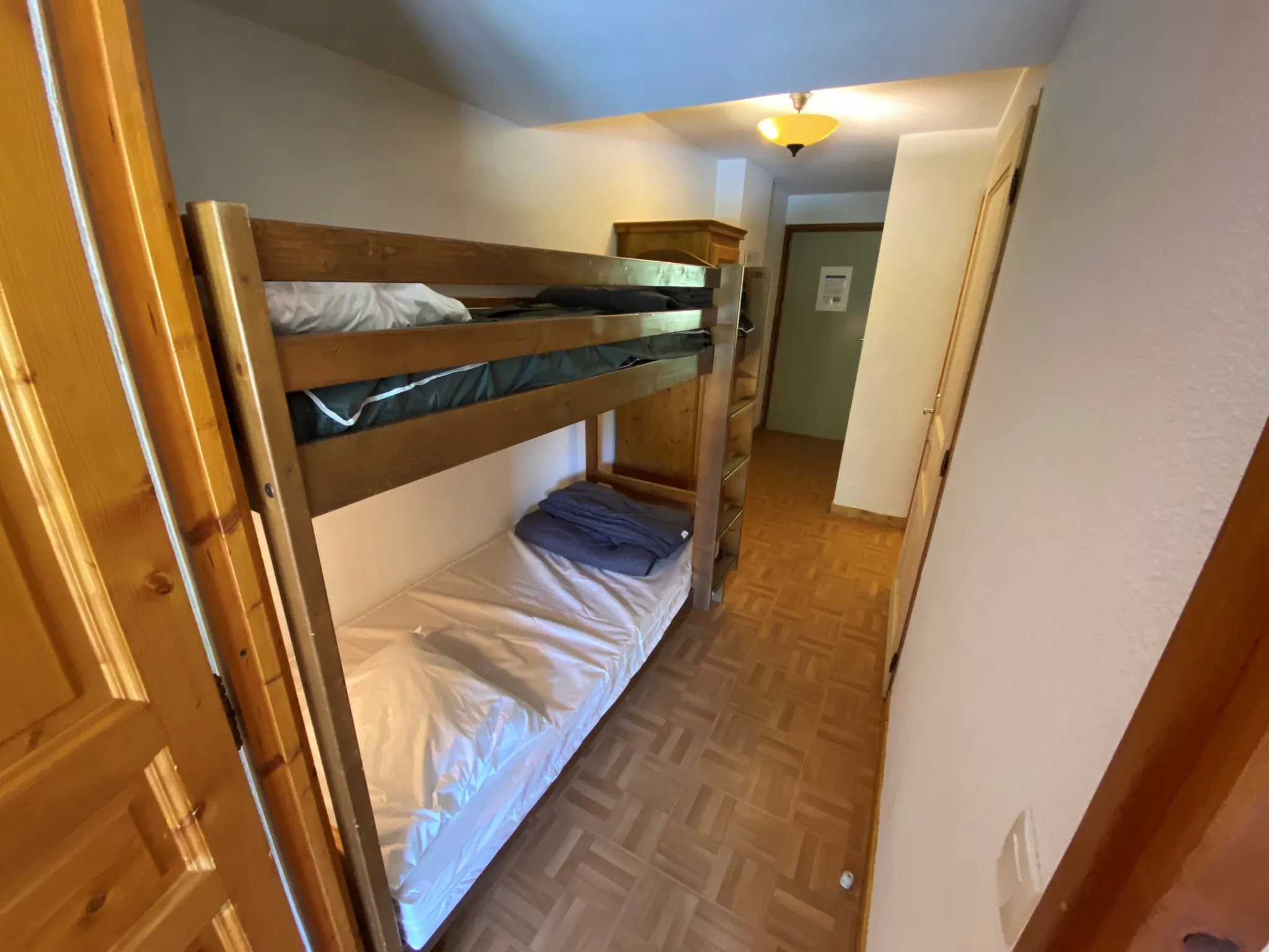 Appartement T2 avec vue montagne à Saint-Sorlin d'Arves, placement idéal à 800 m des pistes 