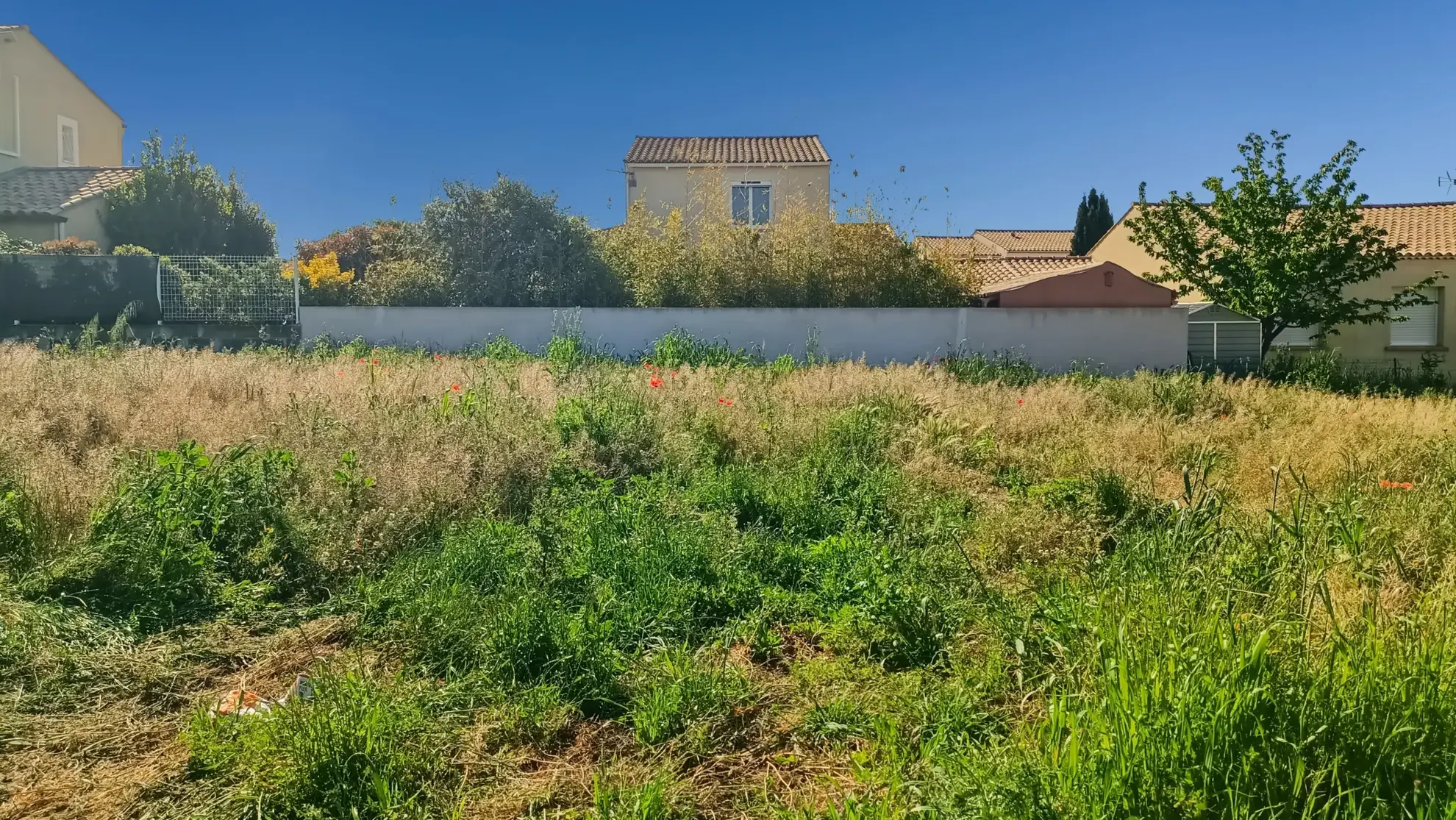 Terrain constructible et viabilisé de 360 m² à Pomérols proche Marseillan 