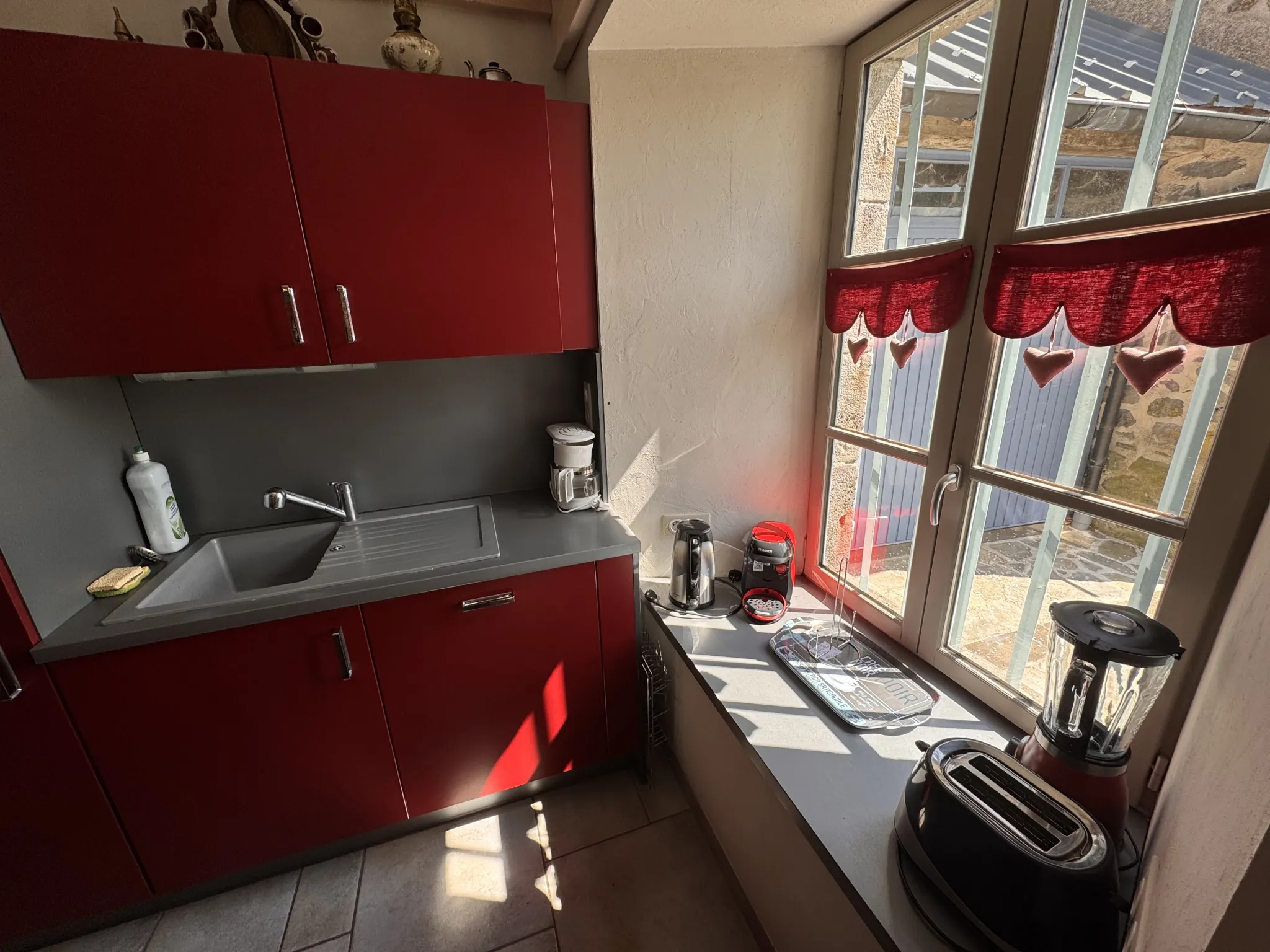 Belle maison rénovée avec gîte à Cézens, proche du Plomb du Cantal, entièrement équipée et orientée sud 