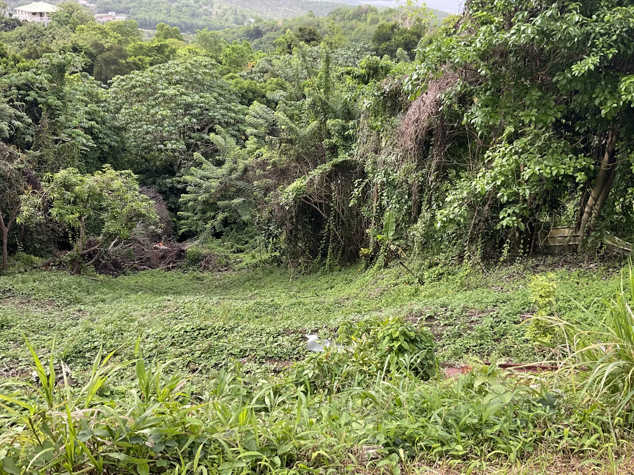 Terrain constructible de 999 m² avec vue mer au François - Opportunité à saisir 