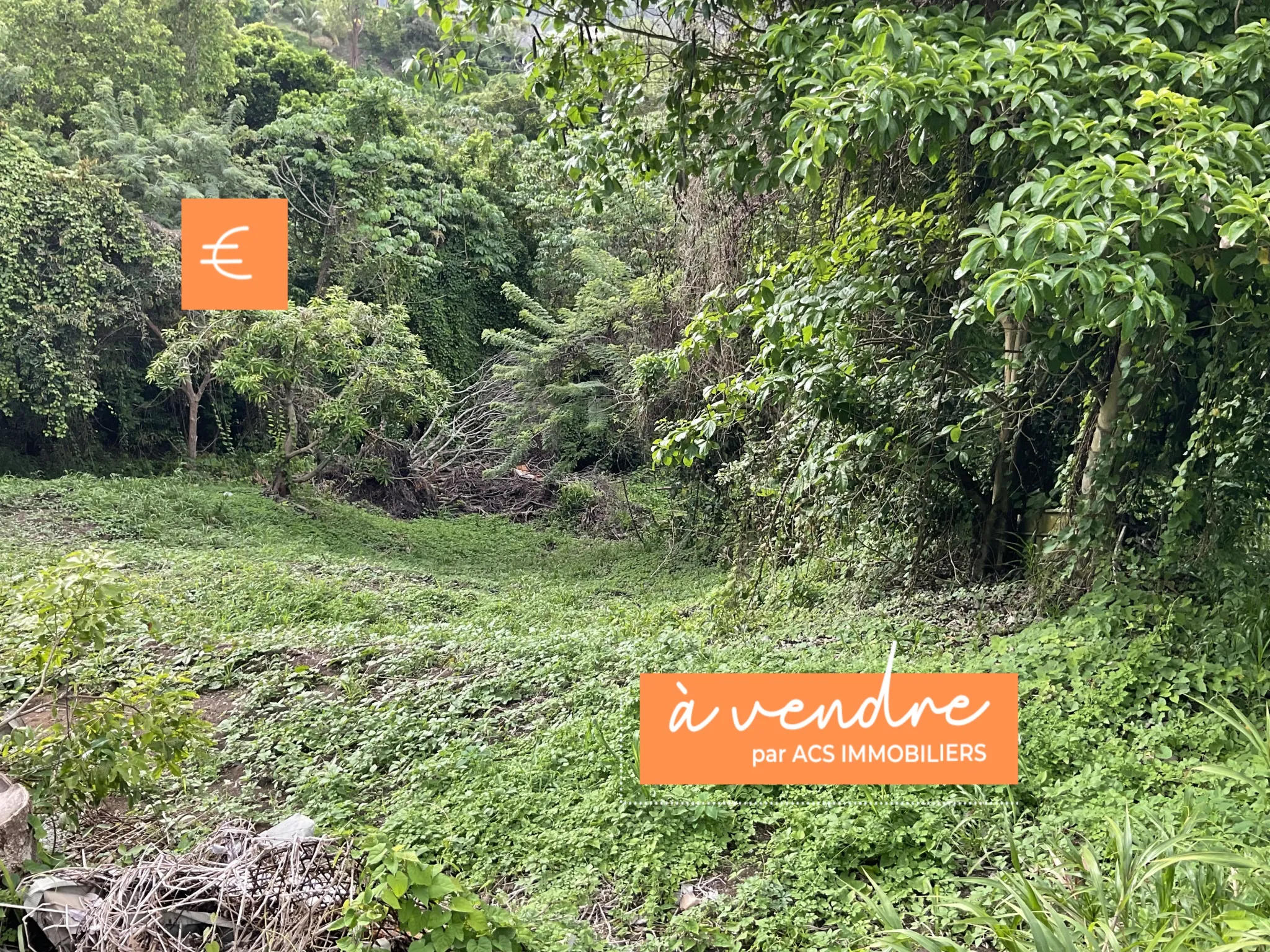 Terrain constructible de 999 m² avec vue mer au François - Opportunité à saisir