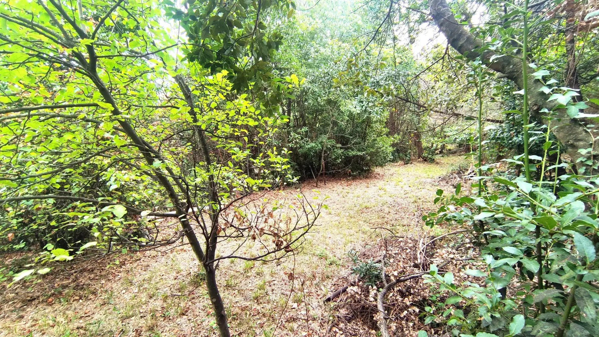 Terrain non constructible de 1148 m² à Laroque-des-Albères dans un environnement calme 