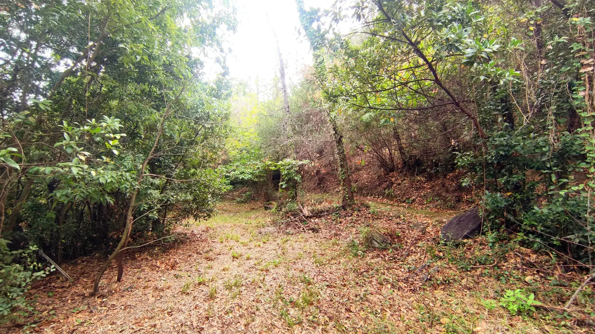 Terrain non constructible de 1148 m² à Laroque-des-Albères dans un environnement calme 