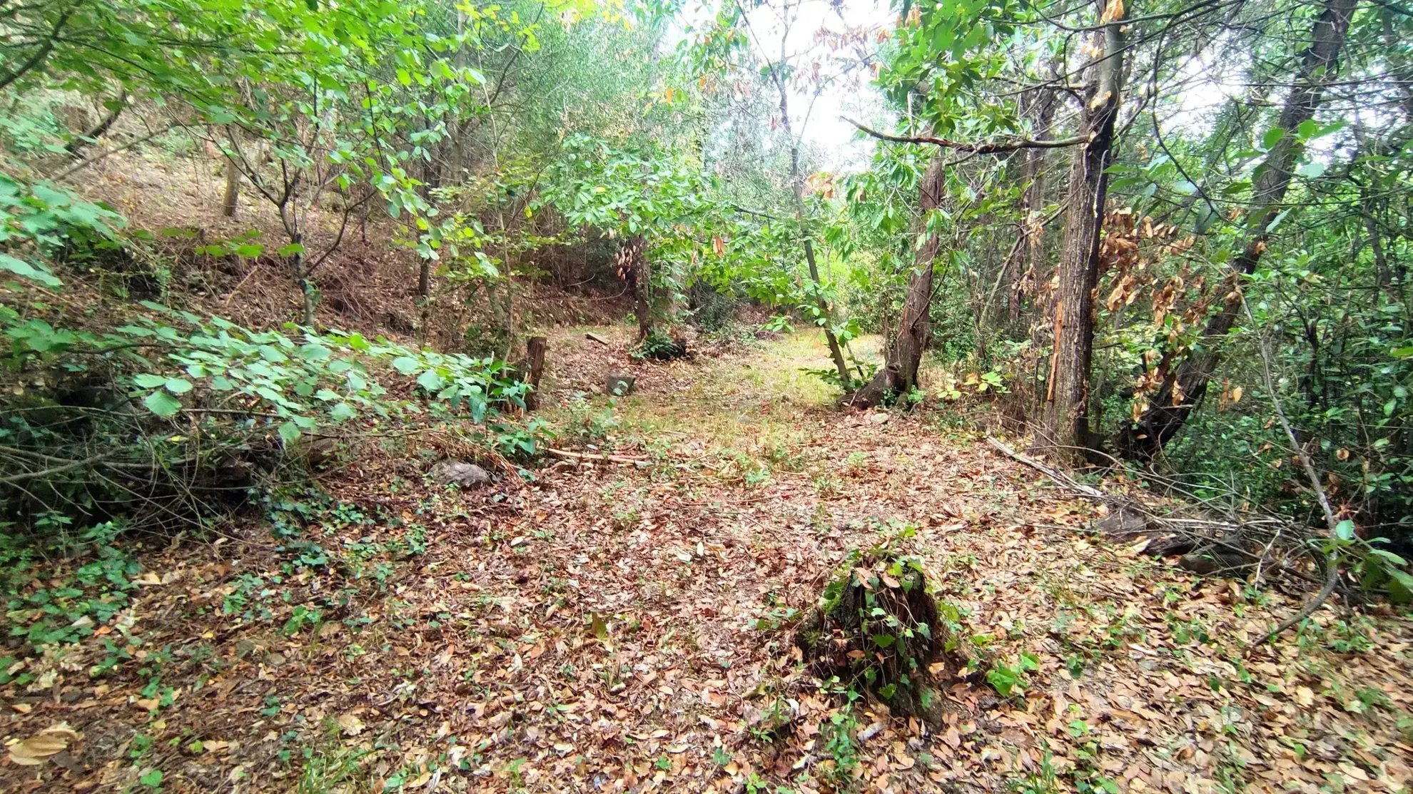 Terrain non constructible de 1148 m² à Laroque-des-Albères dans un environnement calme 