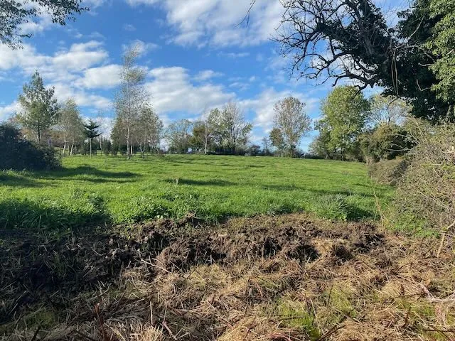 Terrain à bâtir de 2 695 m² avec vue, proche commodités à Saint Bonnet de Cray 