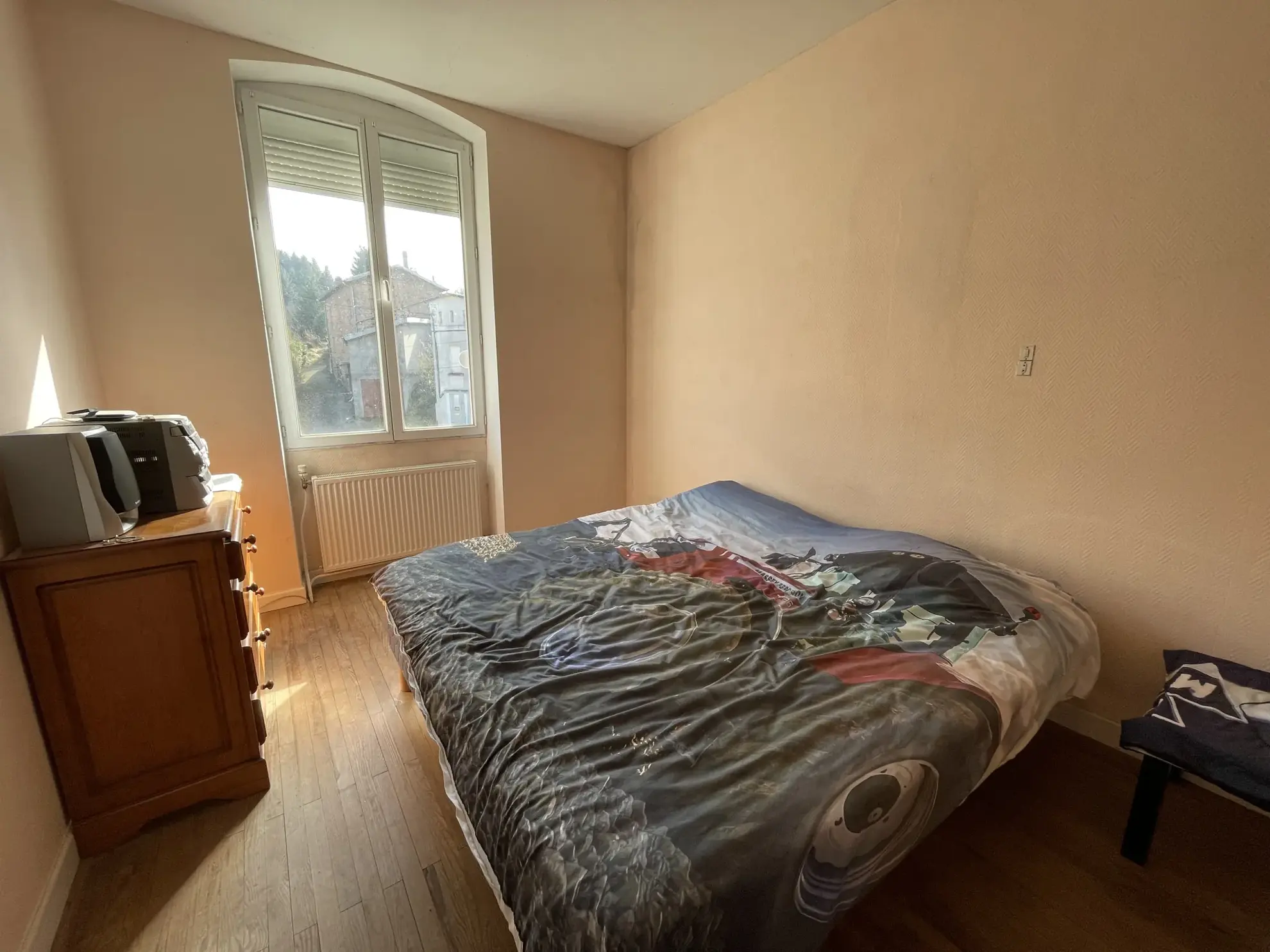 Charmante maison en pierre avec dépendances et grand terrain à Cublize 