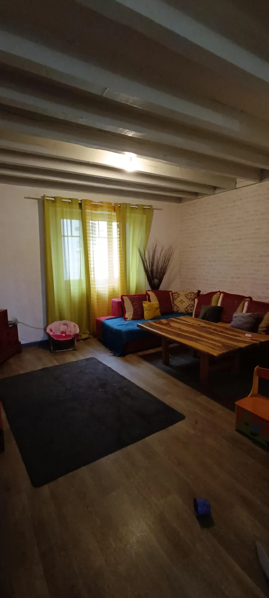 Grande maison familiale à Vierzon avec jardin et terrasse - parfait pour investissement 