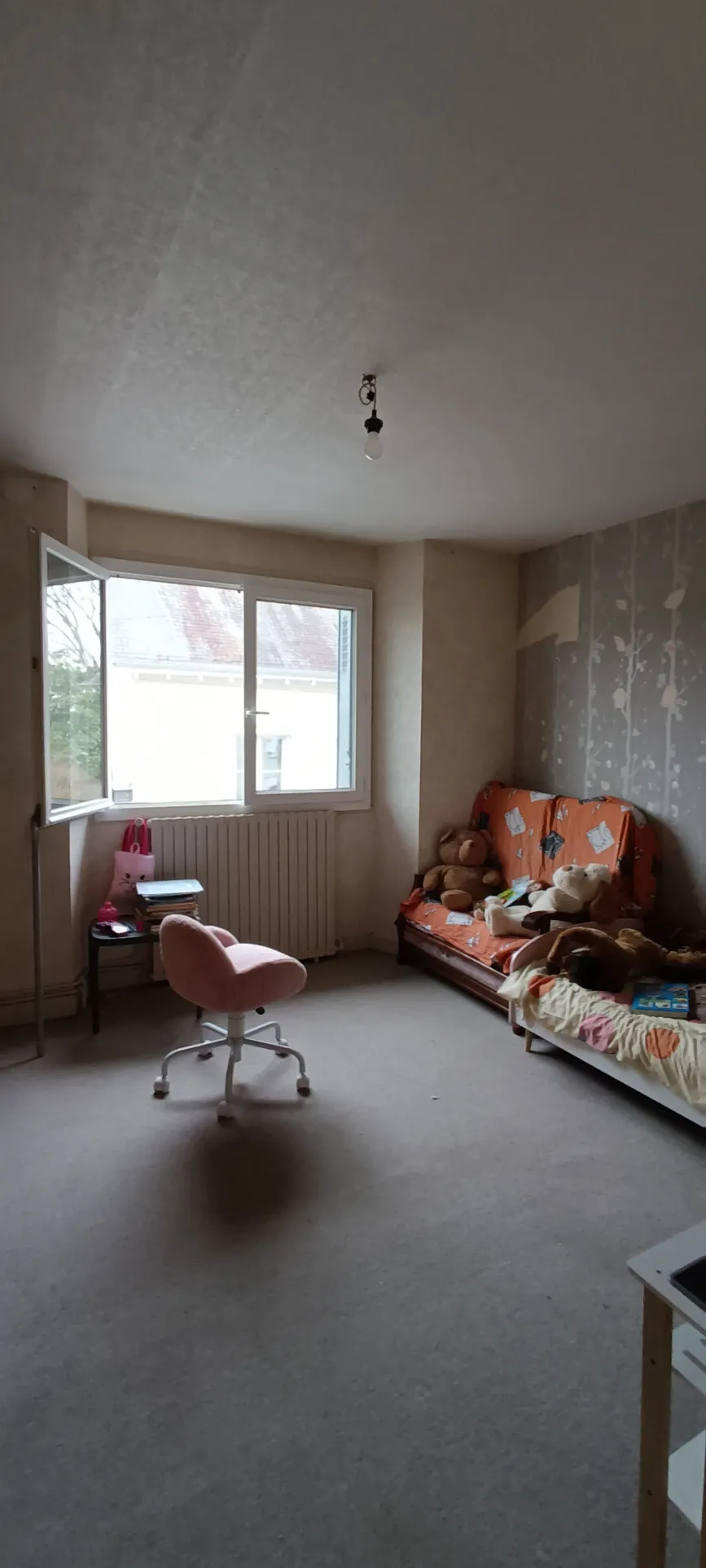 Grande maison familiale à Vierzon avec jardin et terrasse - parfait pour investissement 