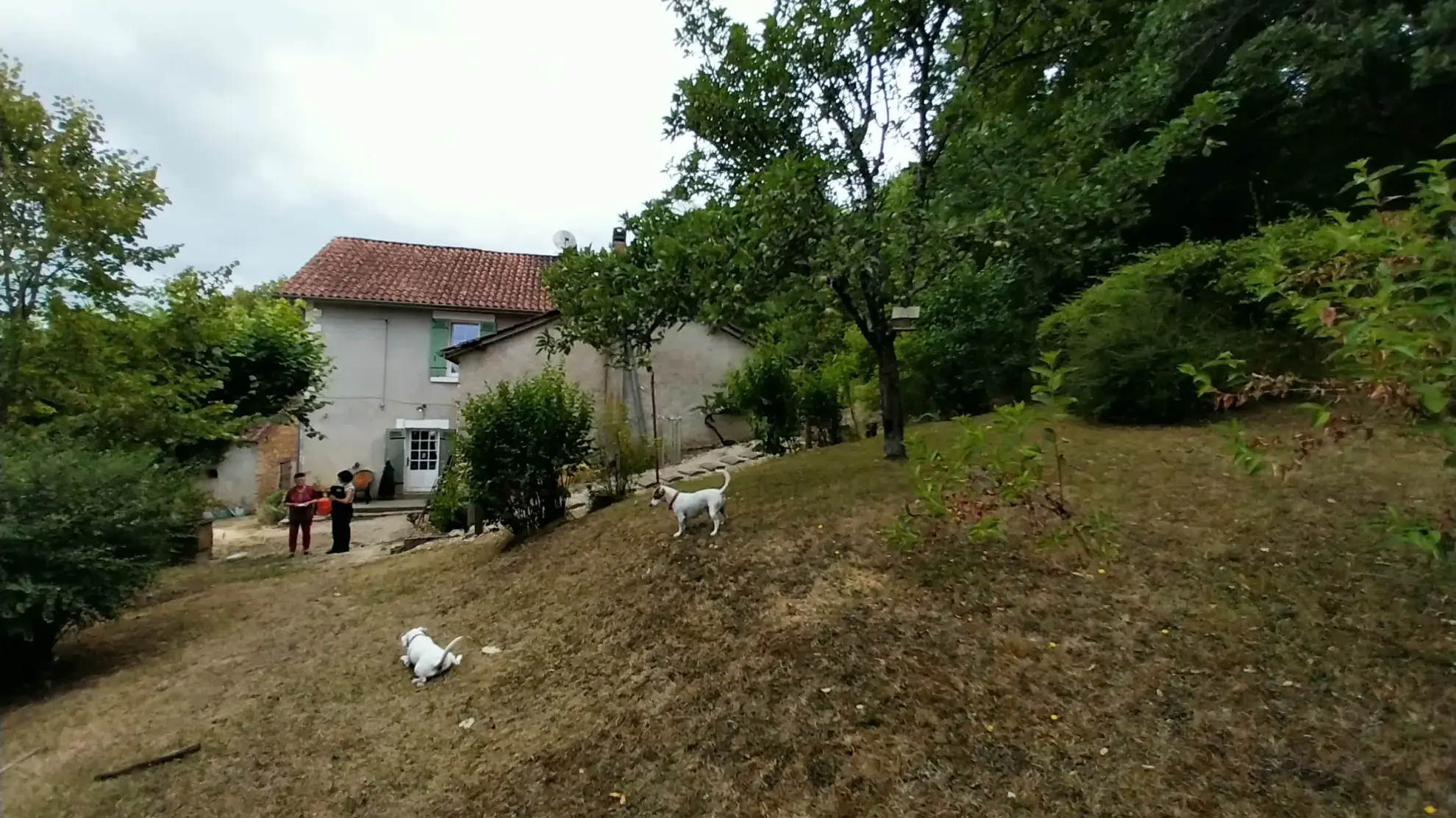 Maison à vendre de 2 hectares avec dépendances près de Périgueux 