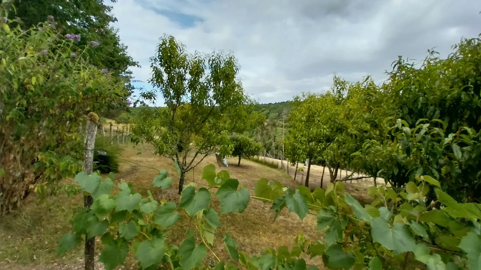 Maison à vendre de 2 hectares avec dépendances près de Périgueux 