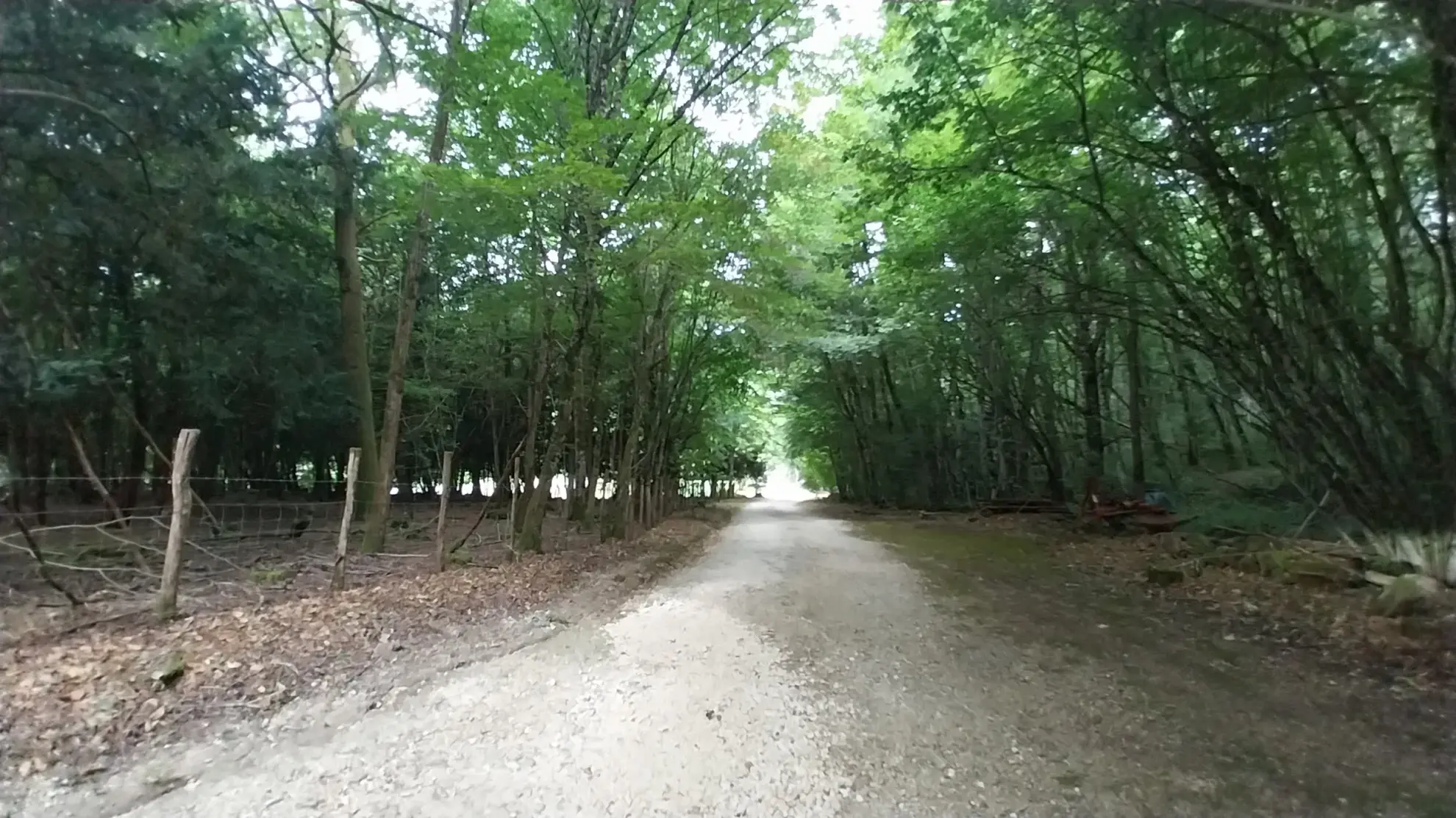 Maison à vendre de 2 hectares avec dépendances près de Périgueux 