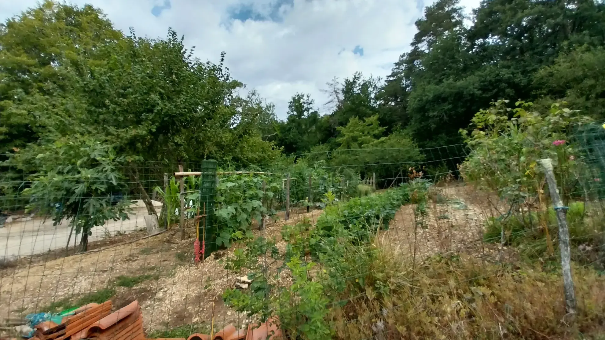 Maison à vendre de 2 hectares avec dépendances près de Périgueux 