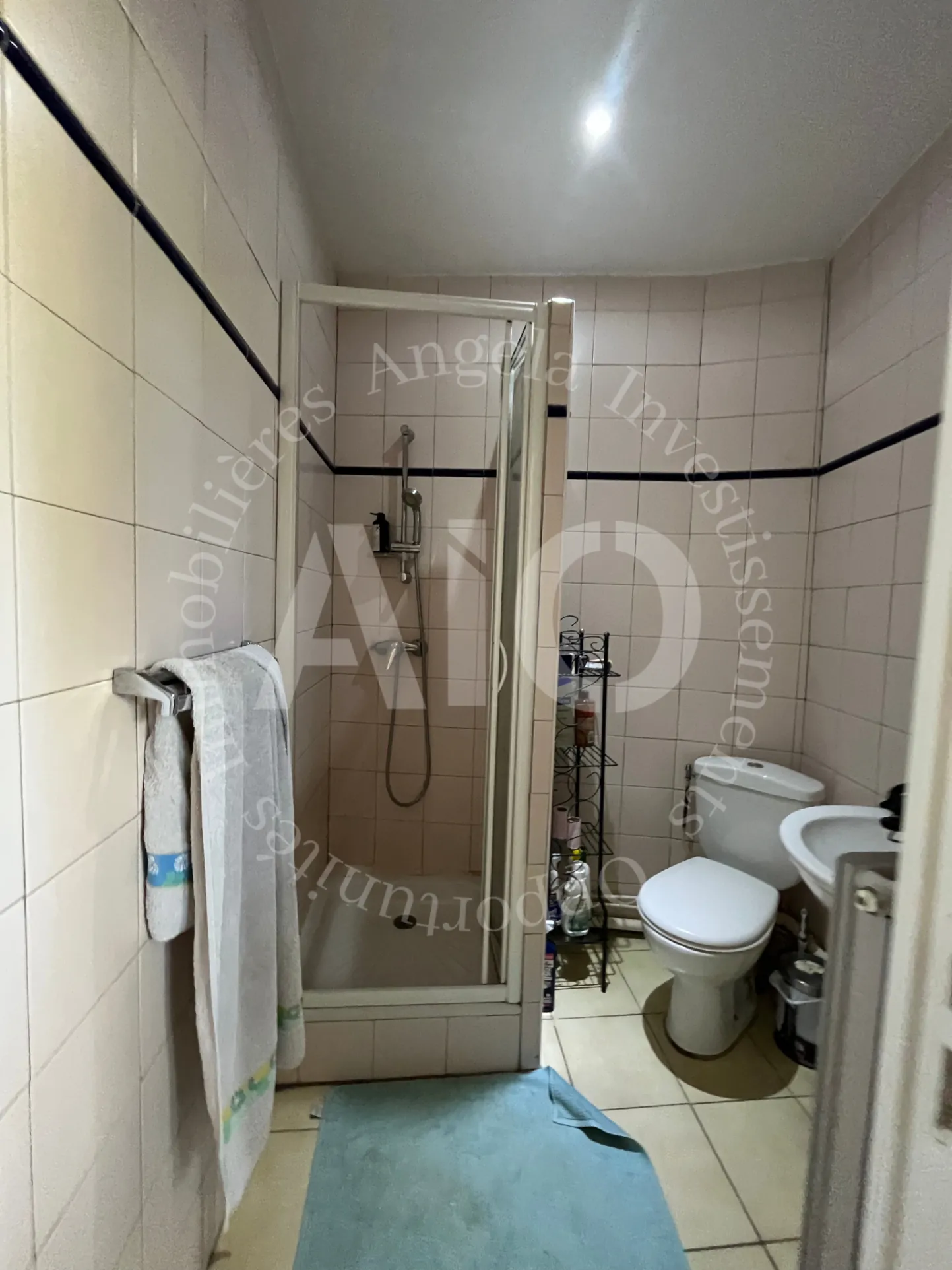 À vendre appartement T3 lumineux avec balcon à Vindry-sur-Turdine 