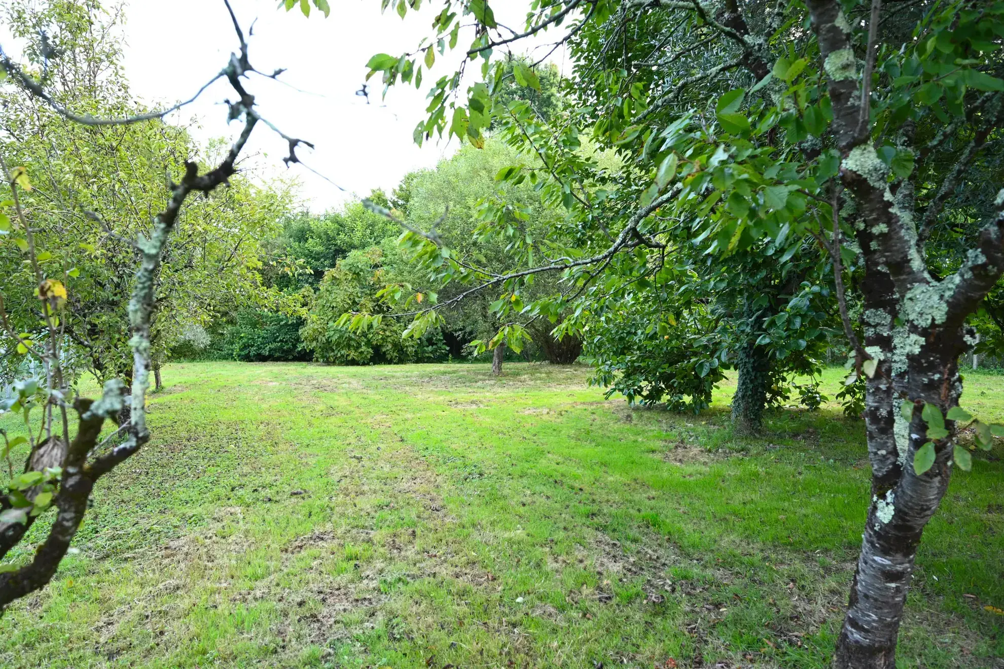 Terrain constructible de 1000 m² à Salleboeuf, viabilisé et en environnement calme 