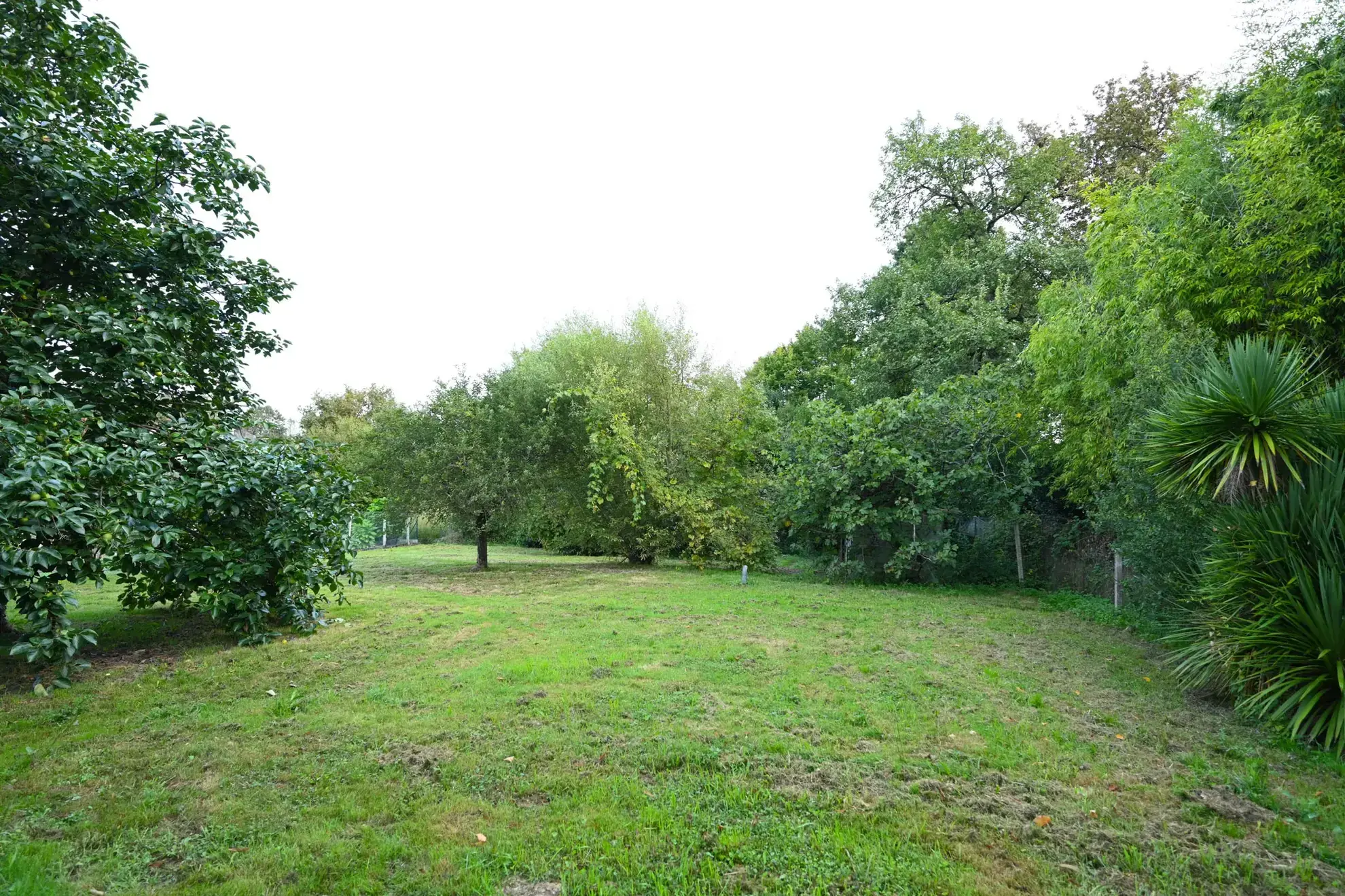 Terrain constructible de 1000 m² à Salleboeuf, viabilisé et en environnement calme