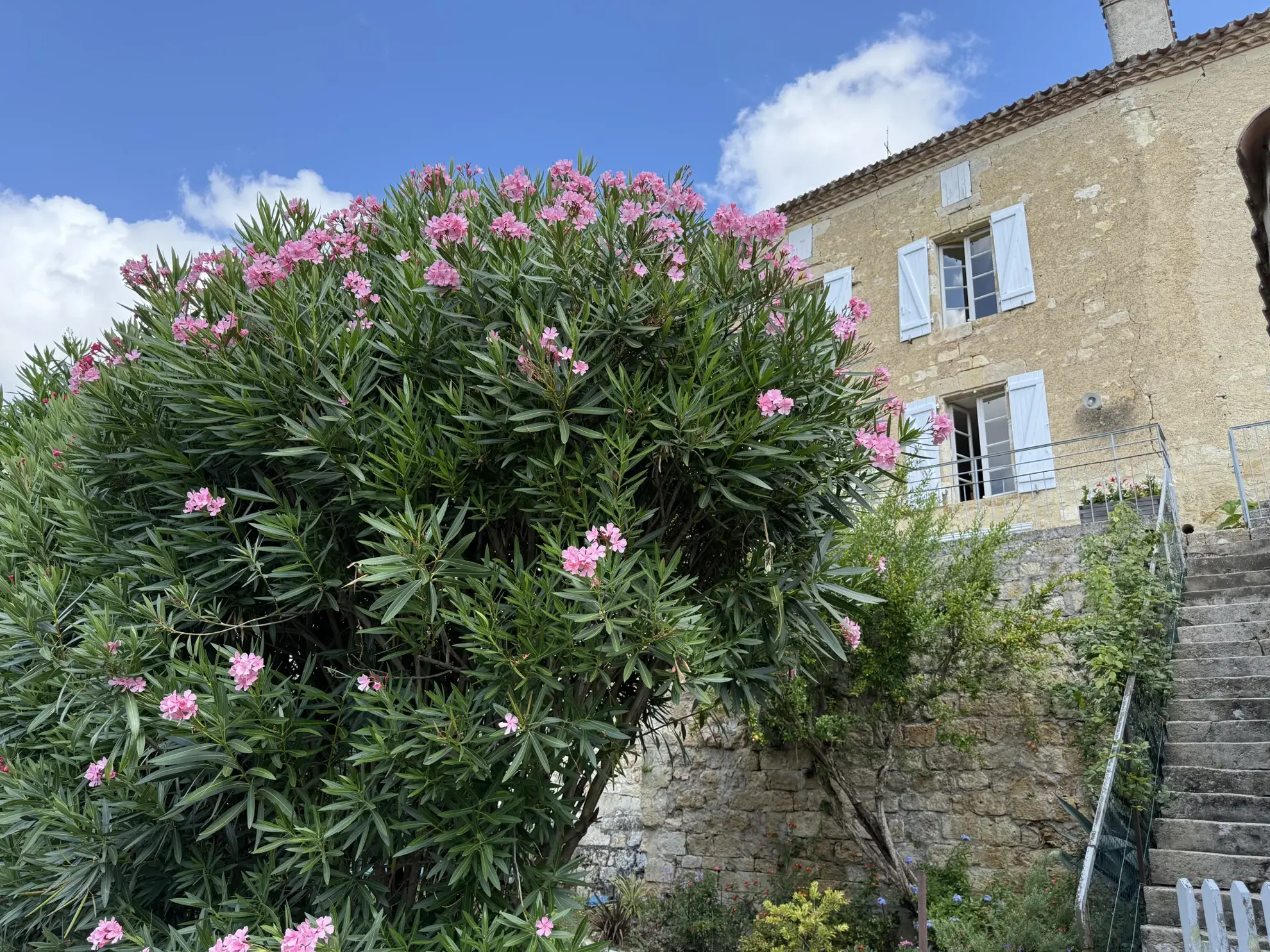 Charmante maison de village avec piscine et jardin exposé sud, proche de Condom