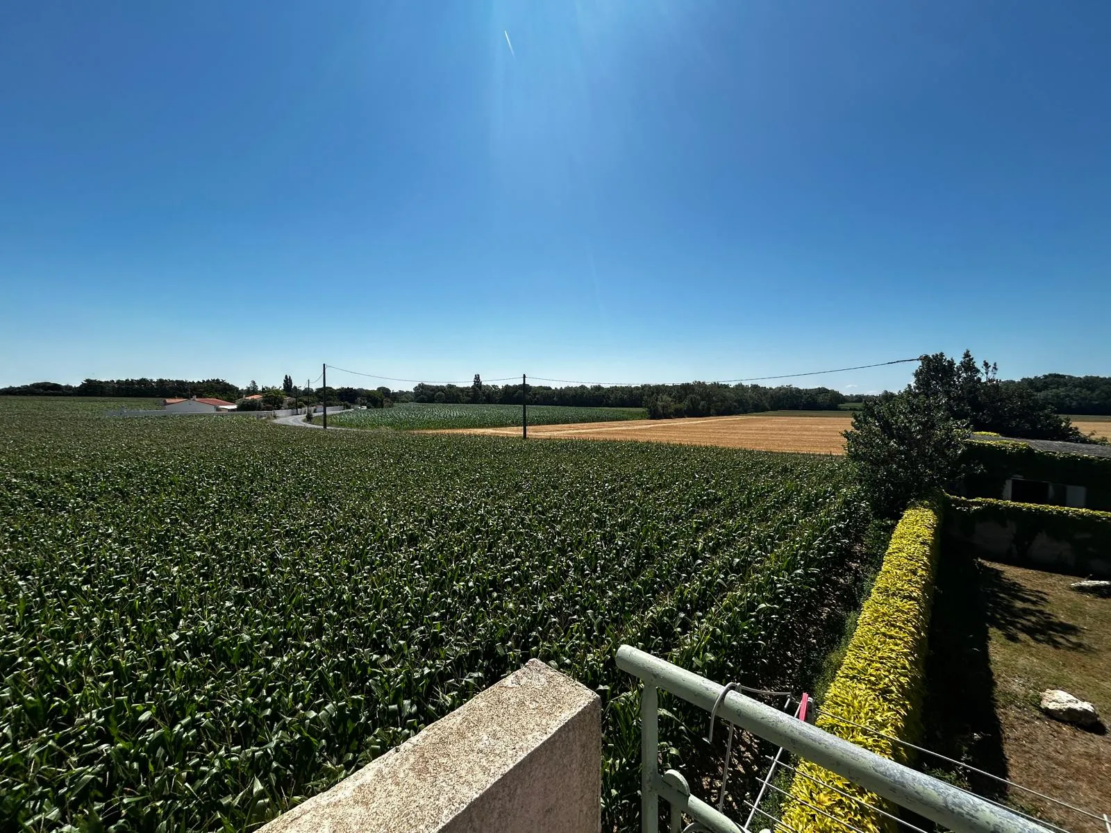 Ensemble immobilier à Salles sur Mer avec 3 logements, jardin et garage 