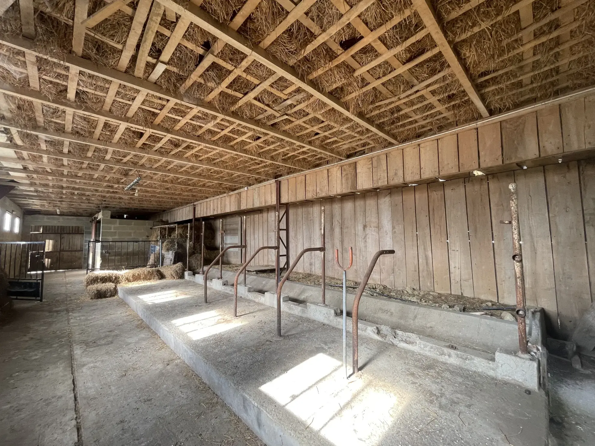 Longère de 125 m² avec grand terrain à vendre près du Mêle-sur-Sarthe 