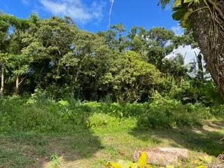 Terrain constructible de 2955 m² au Morne-Rouge à vendre 