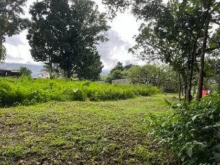 Terrain constructible de 2955 m² à vendre au Morne-Rouge