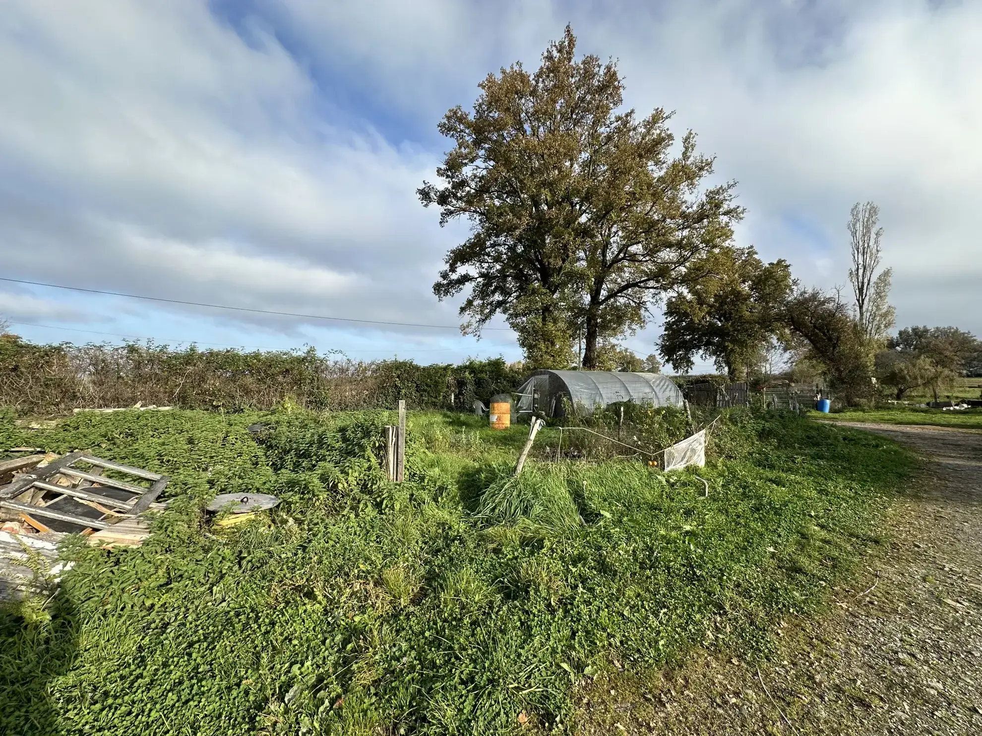 Maison à Perreux avec dépendances et grand terrain plat - idéal famille 