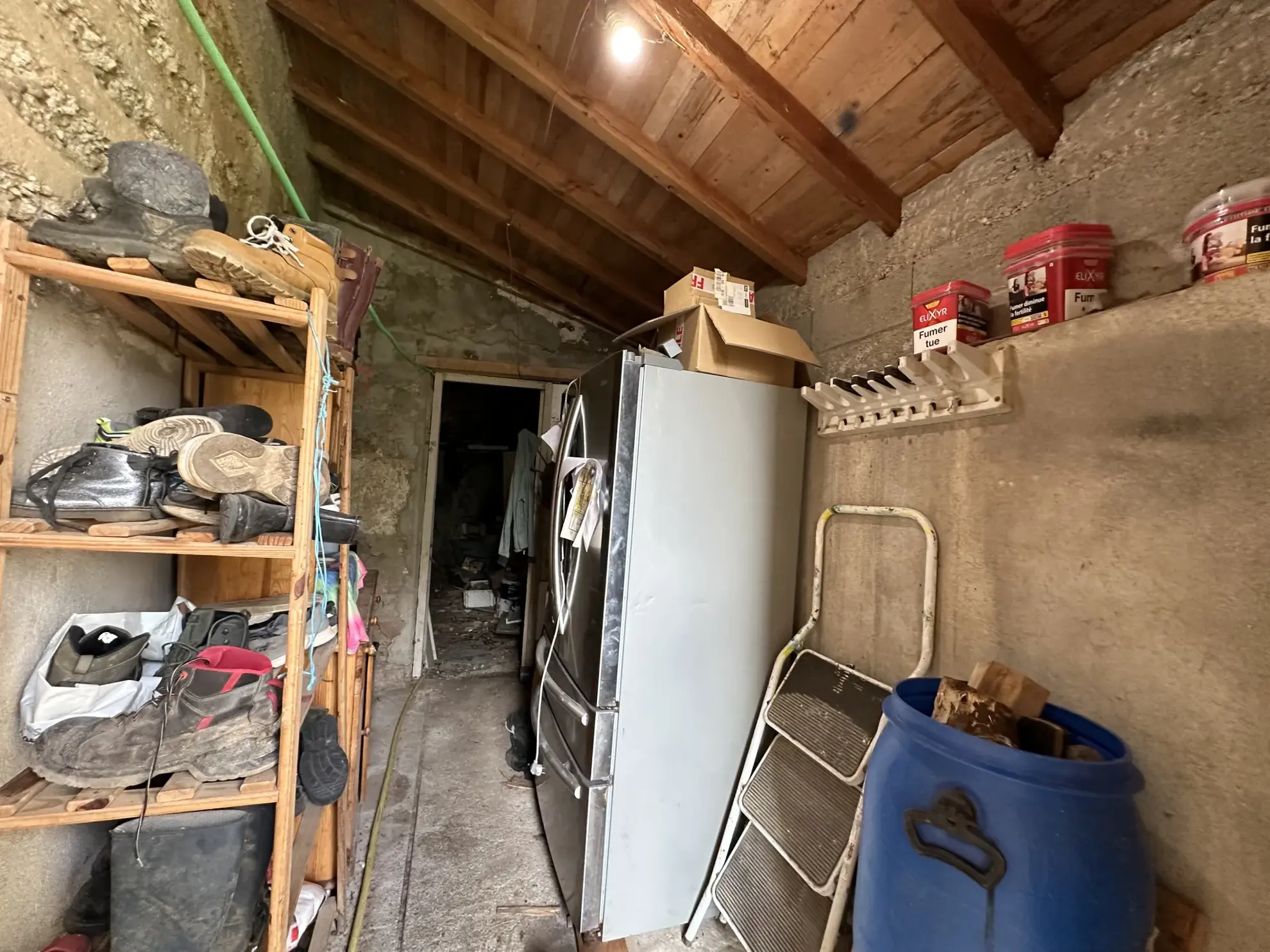 Maison à Perreux avec dépendances et grand terrain plat - idéal famille 