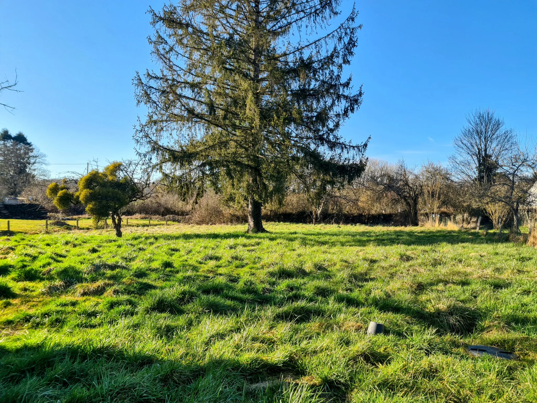Maison avec deux logements à Beaumont-la-Ferrière - Bon état, possibilité de réunification 
