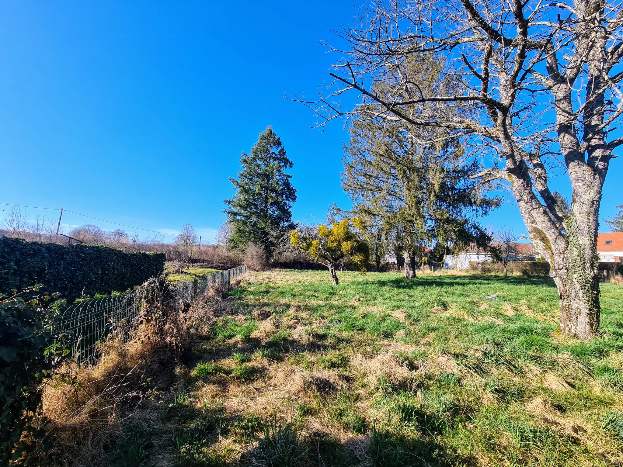 Maison avec deux logements à Beaumont-la-Ferrière - Bon état, possibilité de réunification 