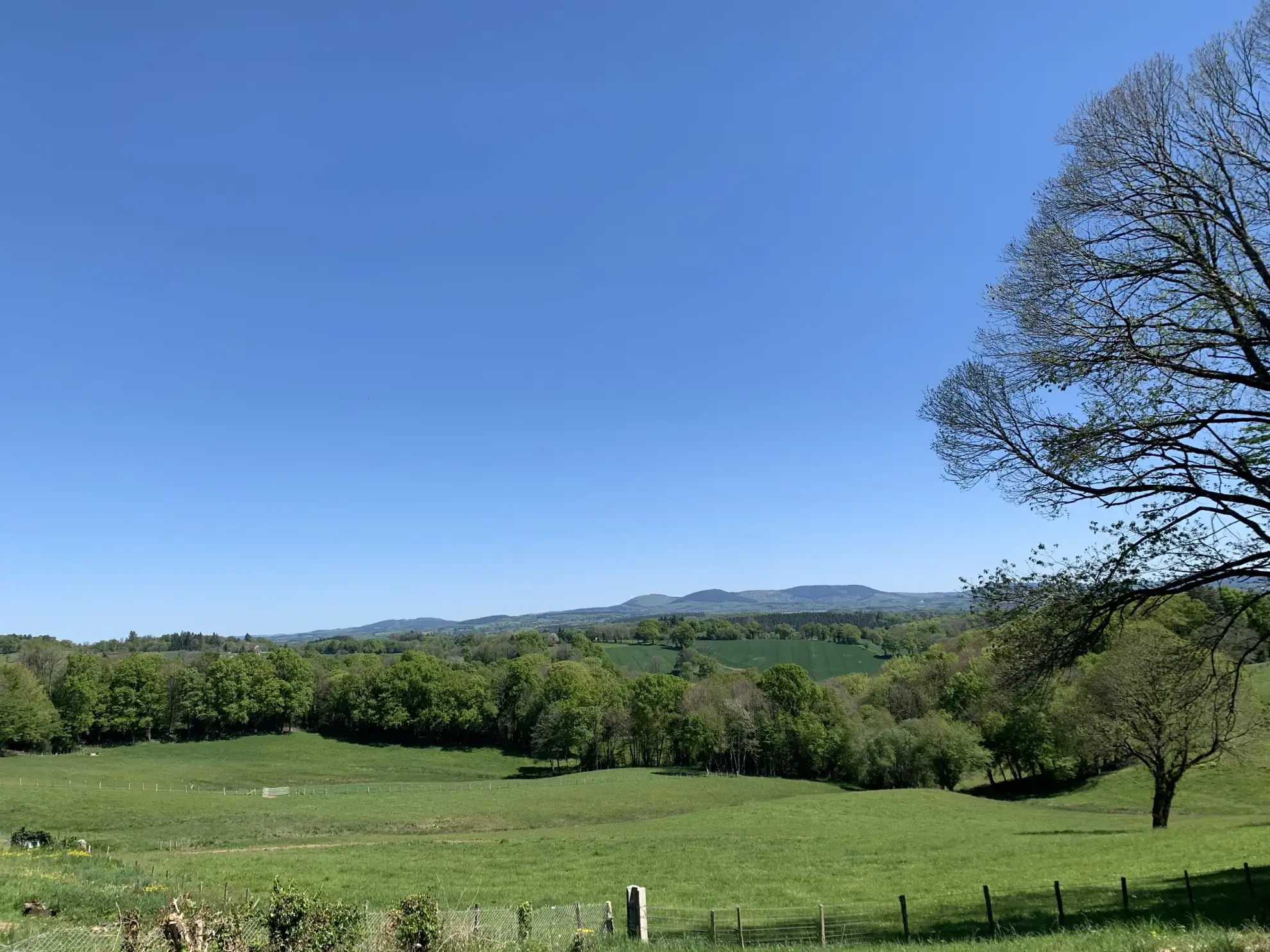Terrain à bâtir avec vue panoramique à Seilhac – 2754 m²