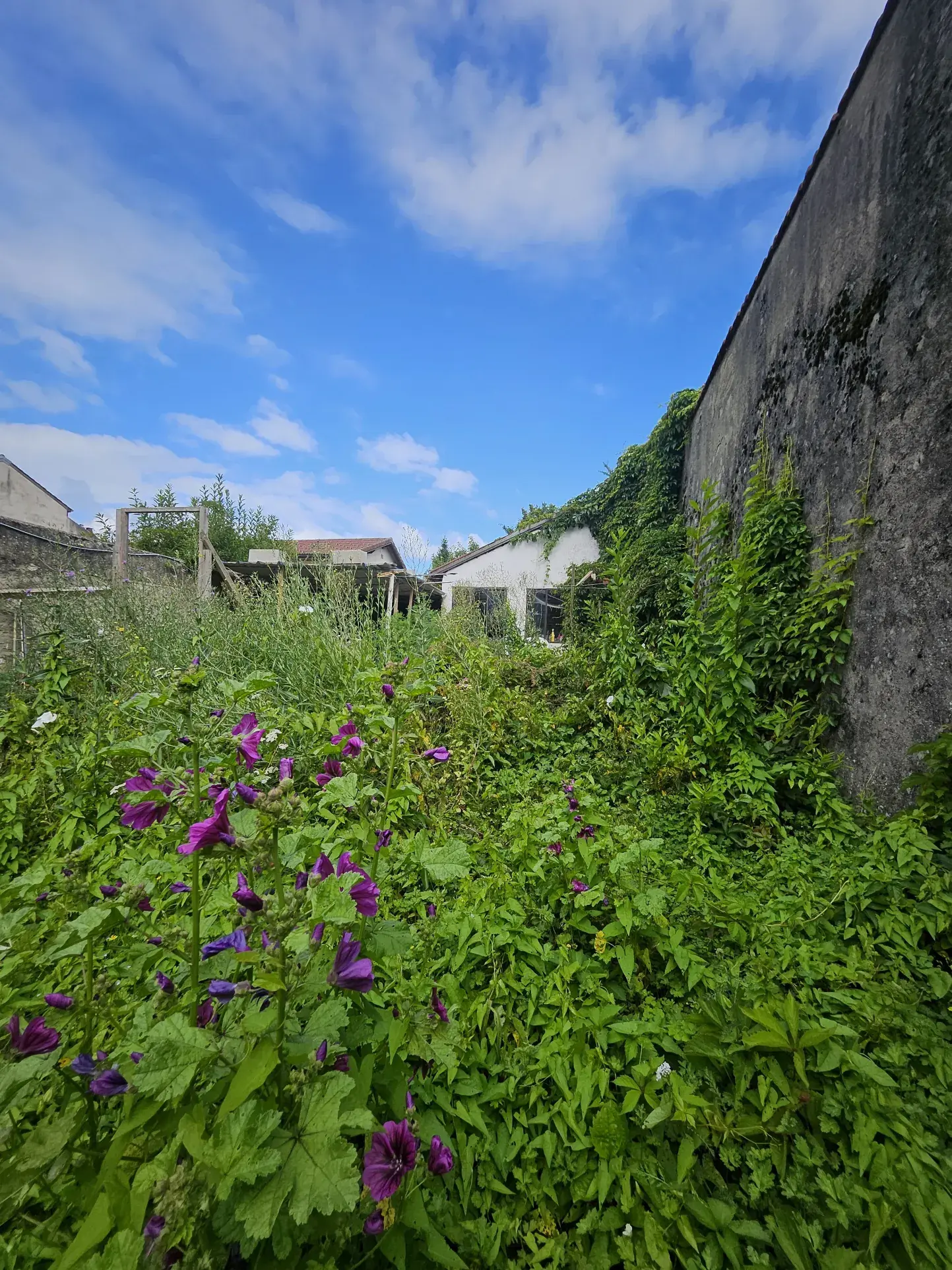 Maison à rénover de 220 m² au centre de Pontarlier avec jardin et atelier 