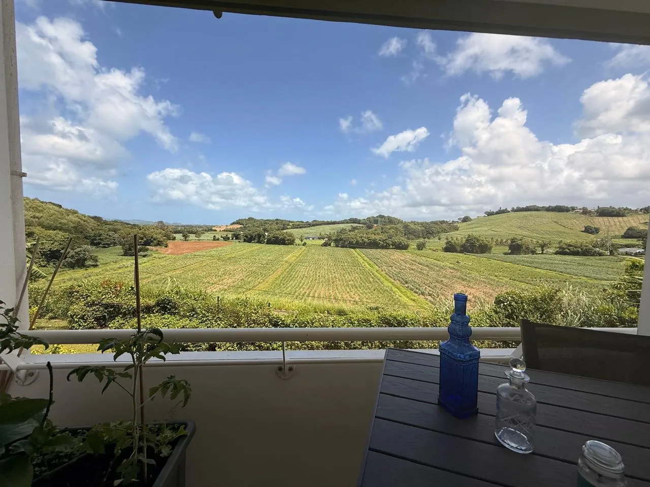 Appartement T3 avec terrasse et vue campagne à Ducos - Achat immobilier