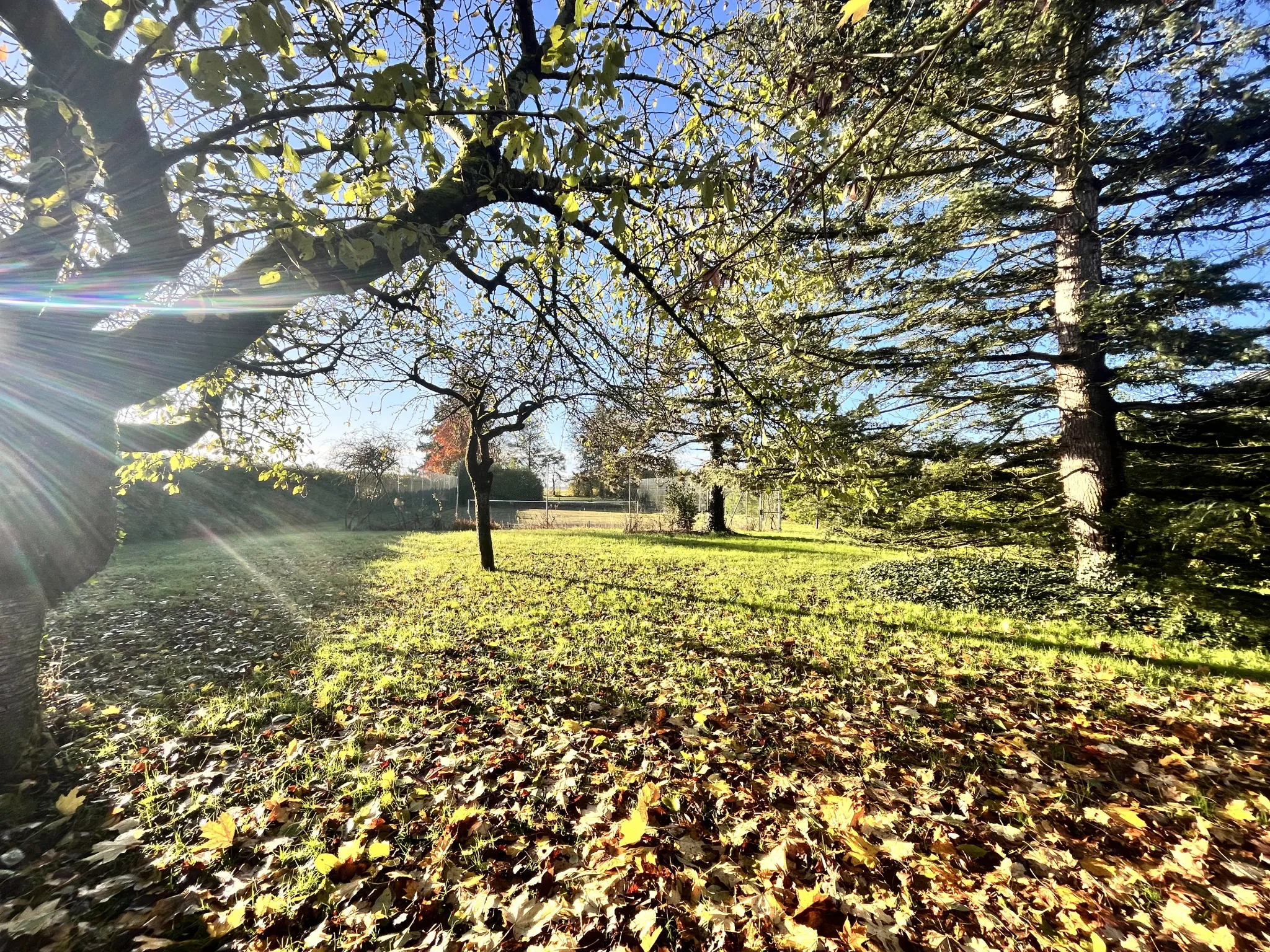 Maison de campagne avec dépendances, terrain de 4929 m² et court de tennis à Pithiviers 