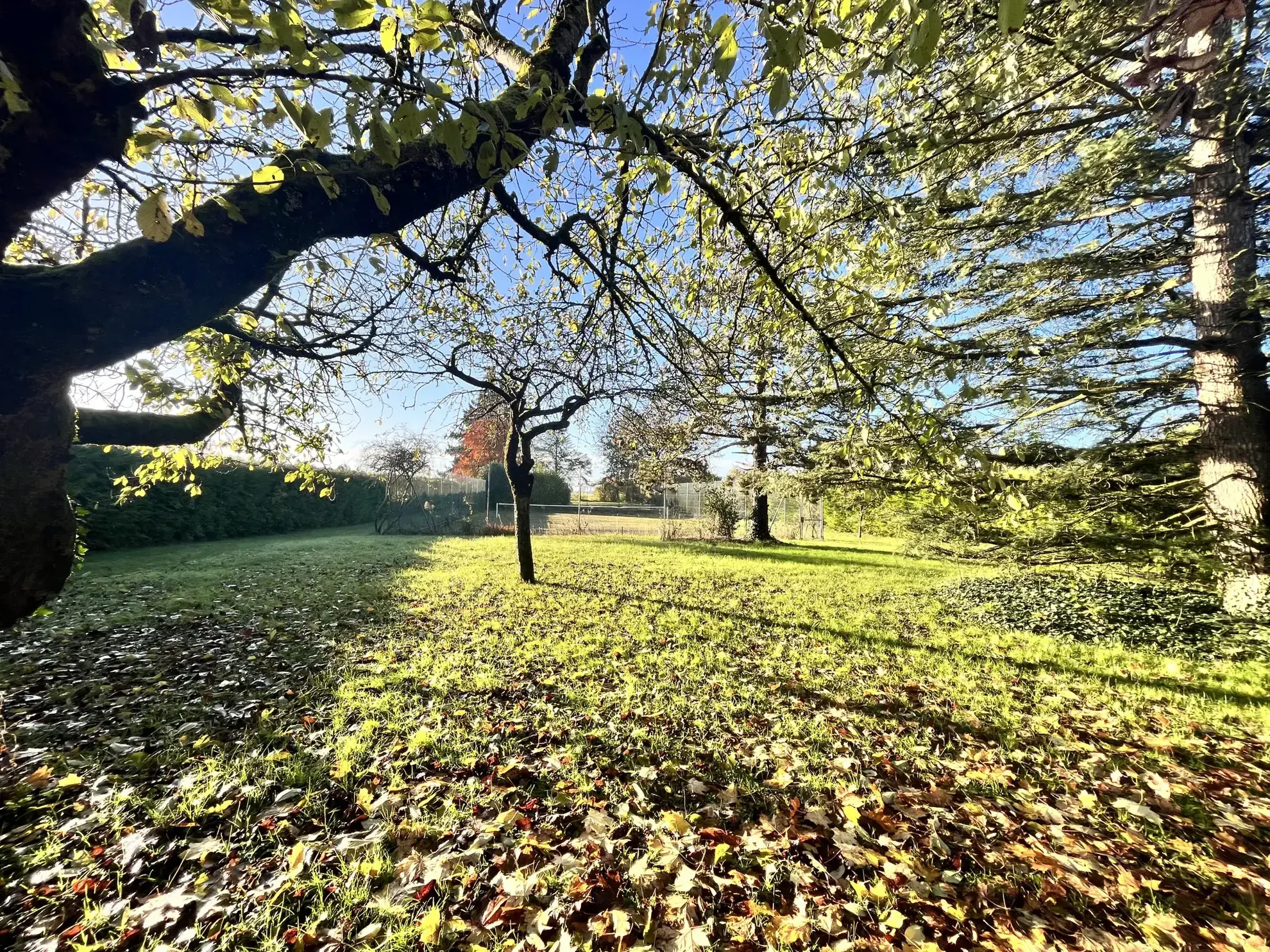 Maison de campagne avec dépendances, terrain de 4929 m² et court de tennis à Pithiviers 