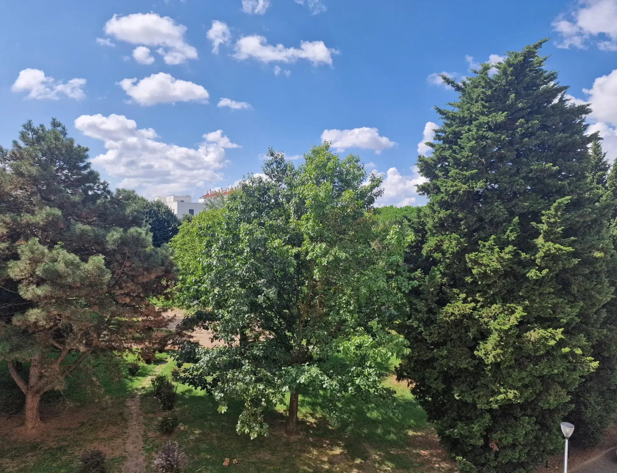 Vente d’un appartement T2 lumineux à Villeurbanne proche Cusset 