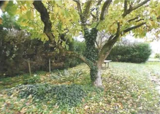 Maison à vendre à Viry Noureuil – Vente aux enchères, terrain 1019 m² 