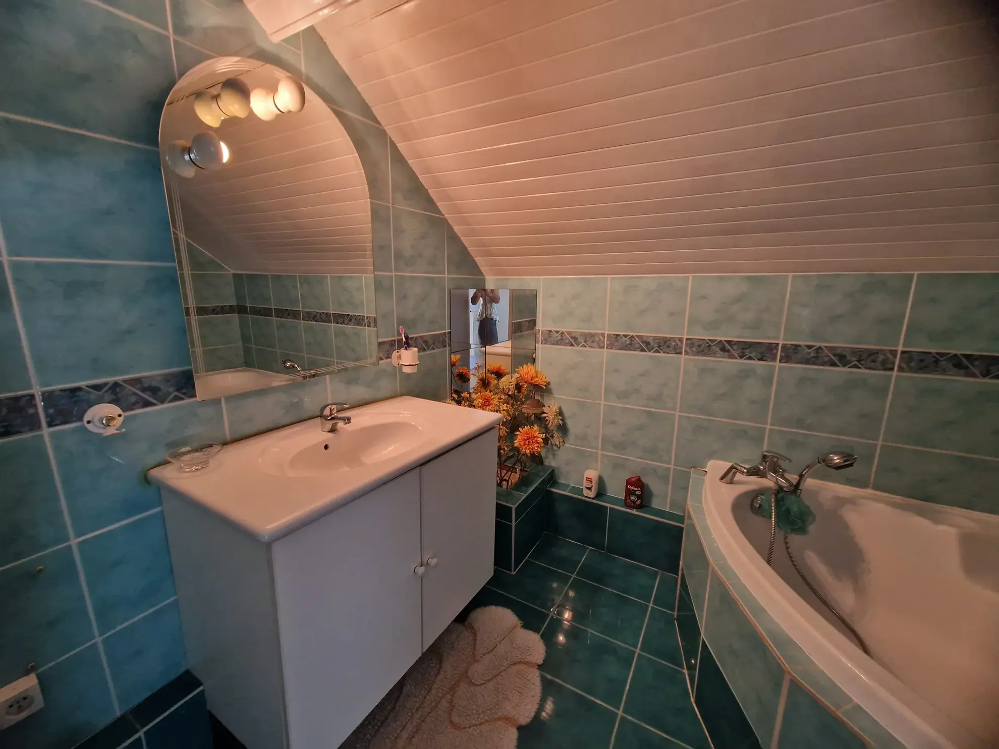 Maison Arcachonnaise à Bazas avec 4 chambres, jardin et garage 