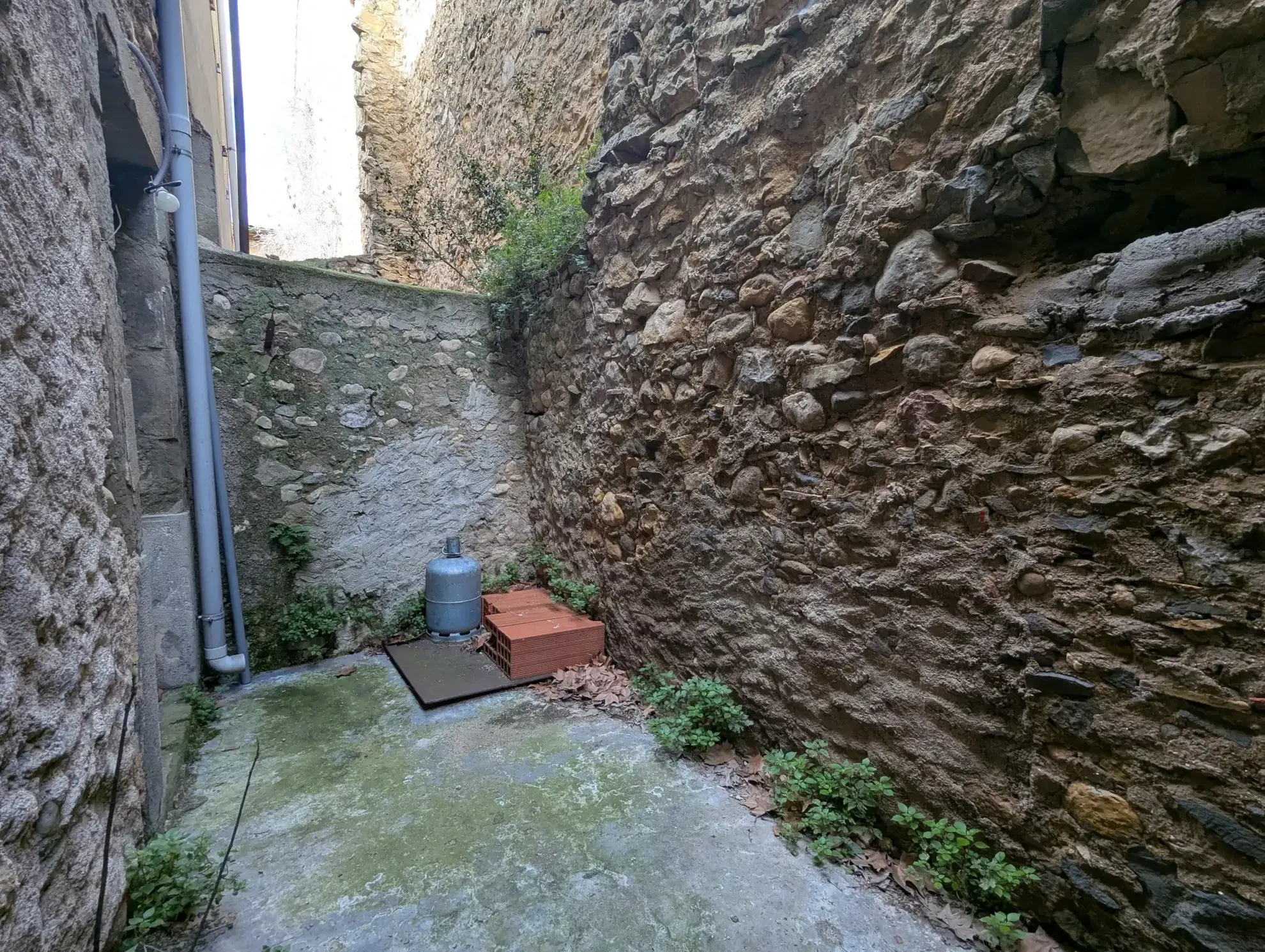 Maison rénovée avec terrasse à Saint Laurent de la Cabrerisse, 3 chambres 