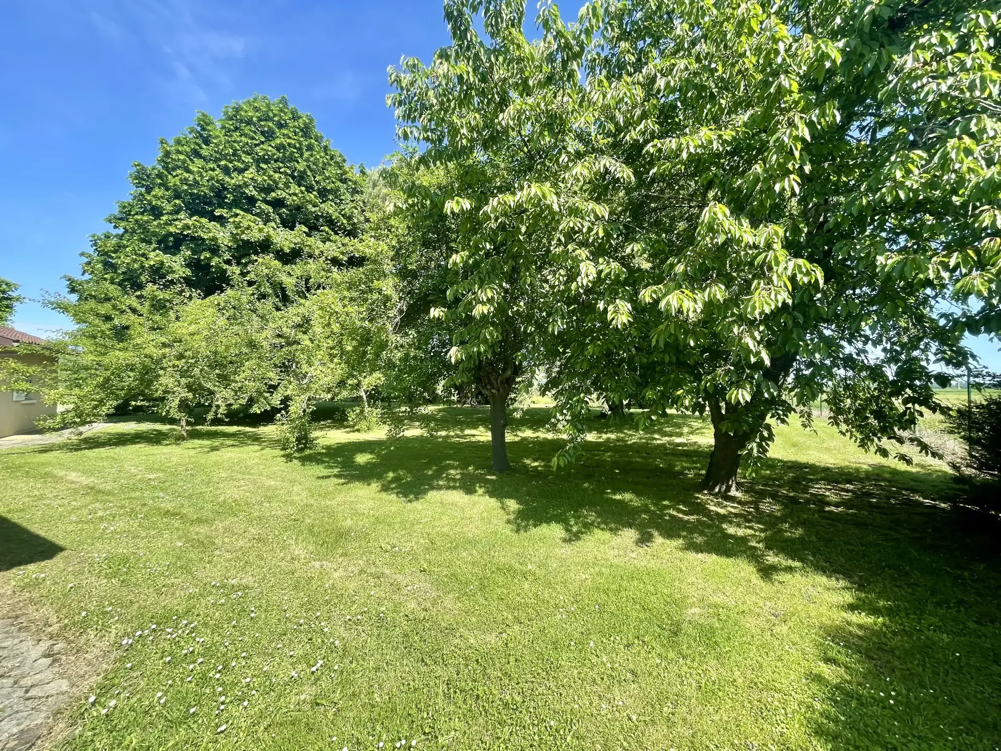 Maison de plain-pied avec 4 chambres à Vic-en-Bigorre - Terrain 3000m² 